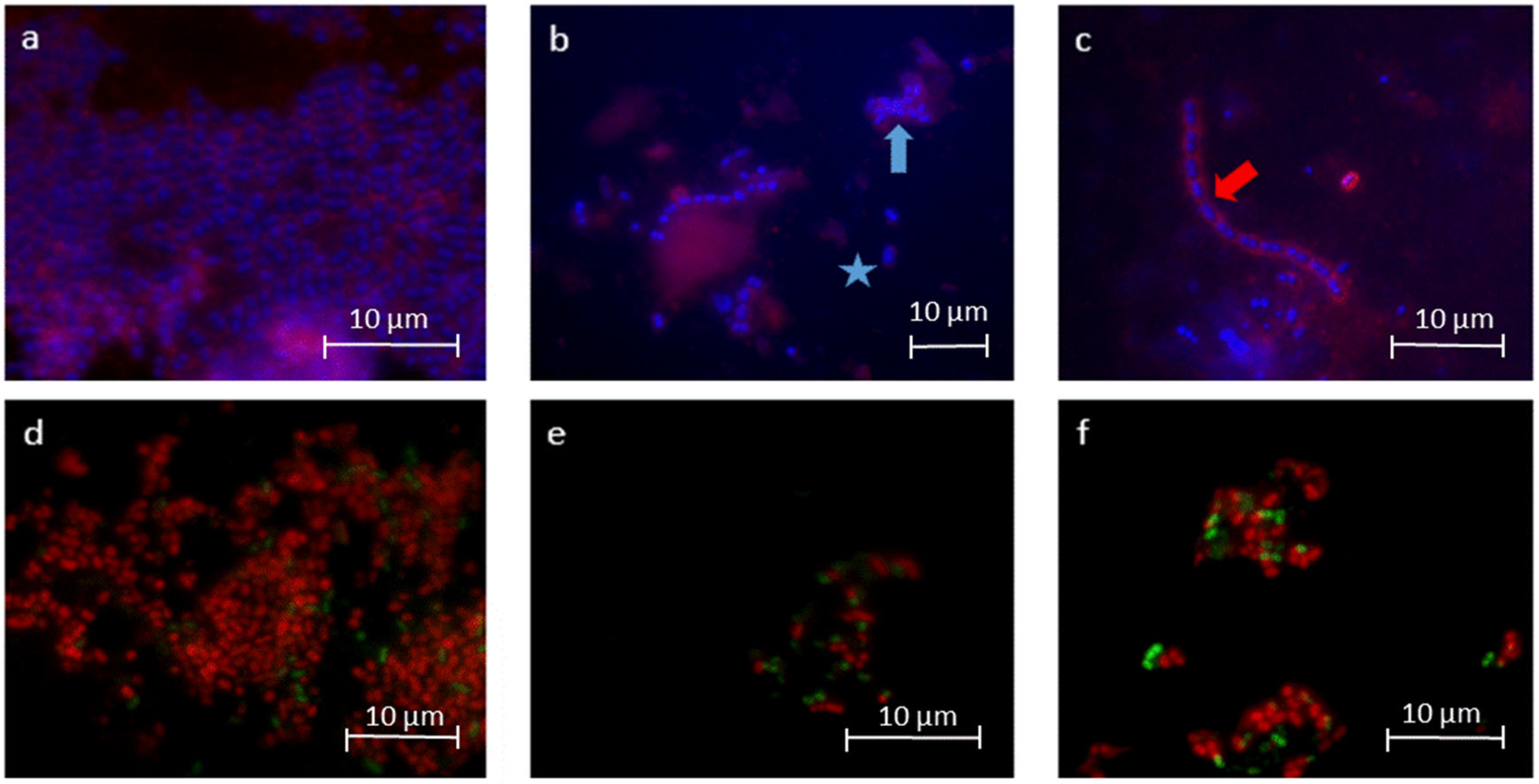 Molecules 28 03803 g003