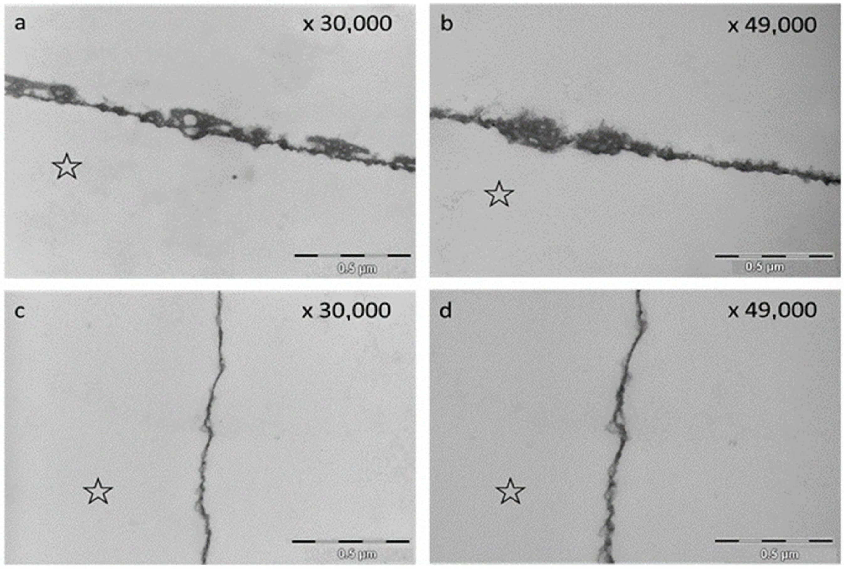 Molecules 28 03803 g007