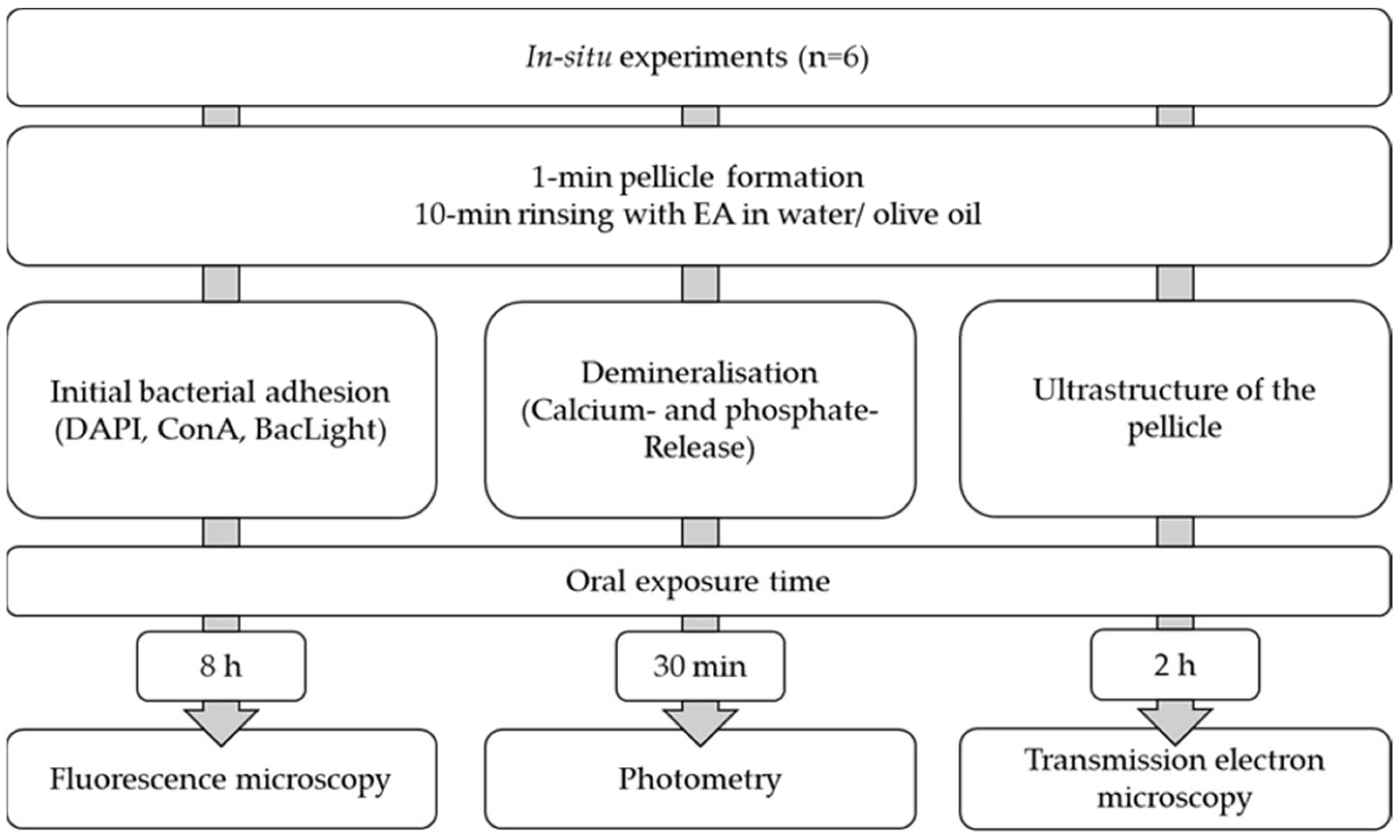 Molecules 28 03803 g008
