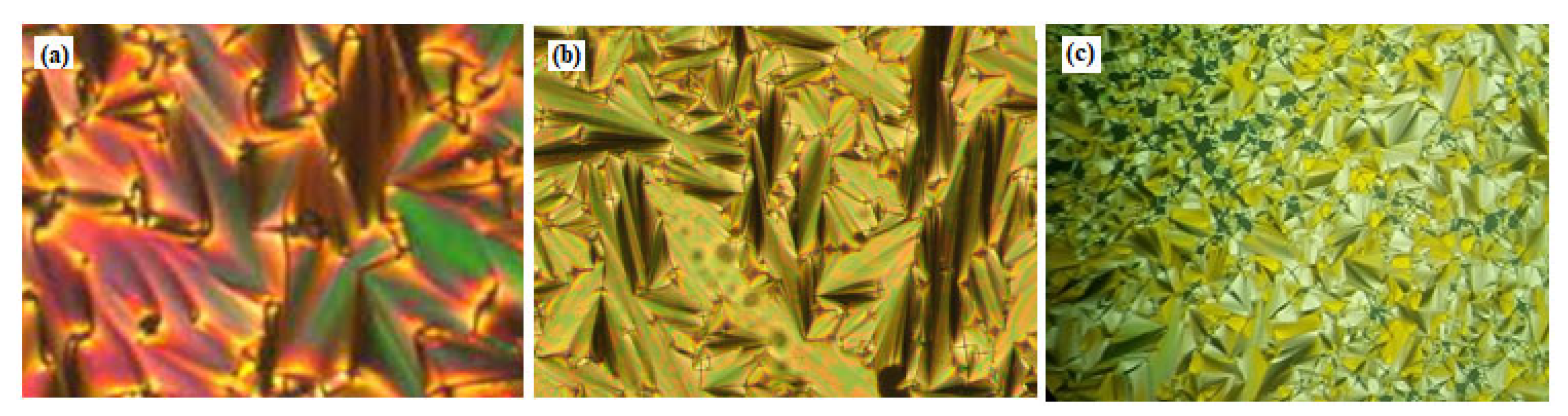 Molecules 28 03804 g003