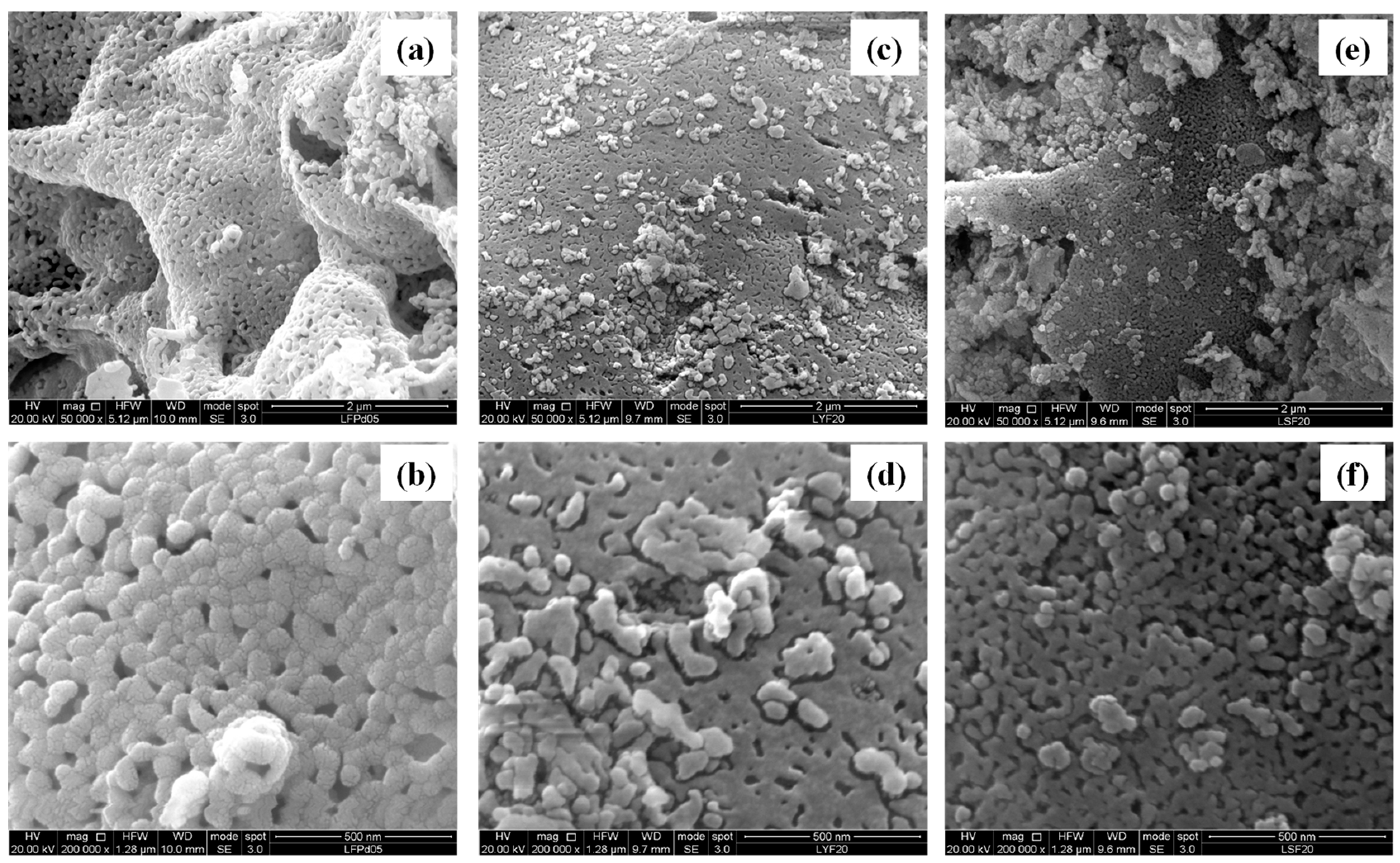 Molecules 28 03807 g004