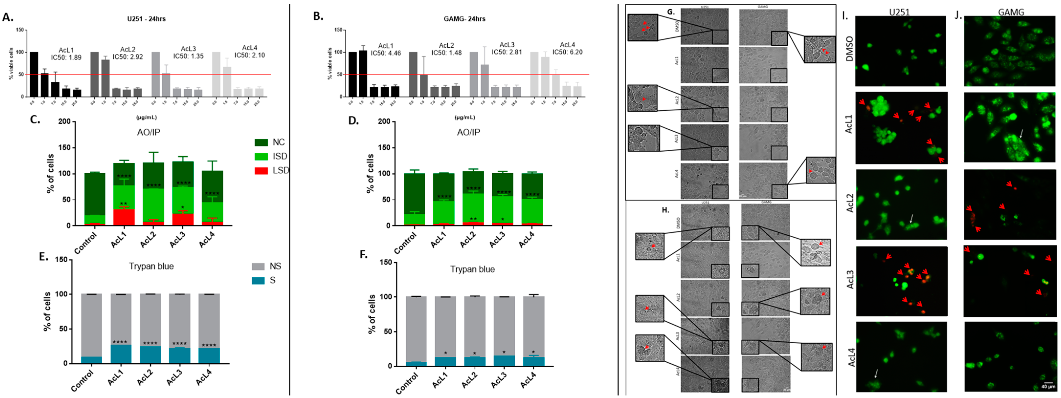 Molecules 28 03809 g001