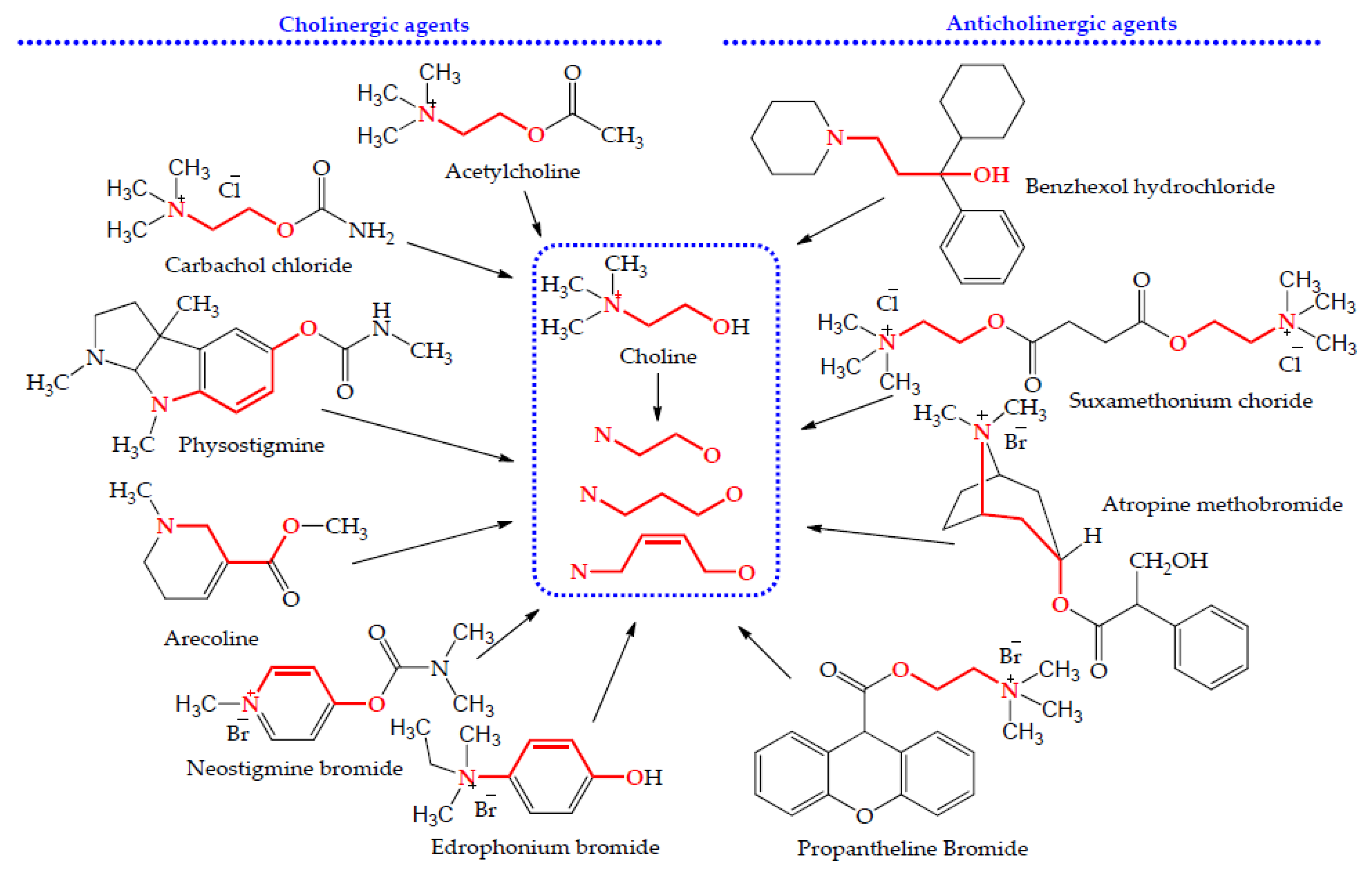 Molecules 28 03813 g001