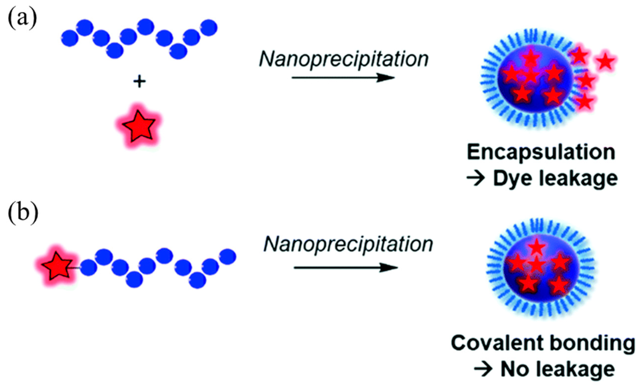 Molecules 28 03819 g001 Molecules 28 03819 g001