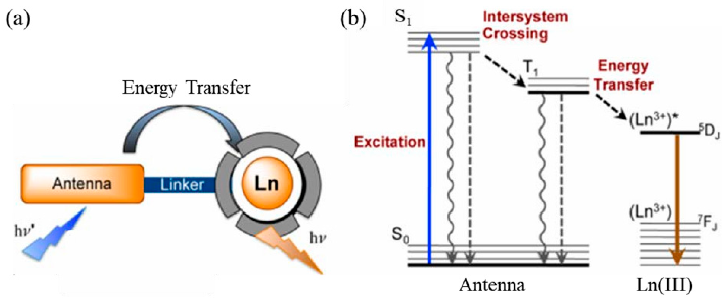 Molecules 28 03819 g007 Molecules 28 03819 g007