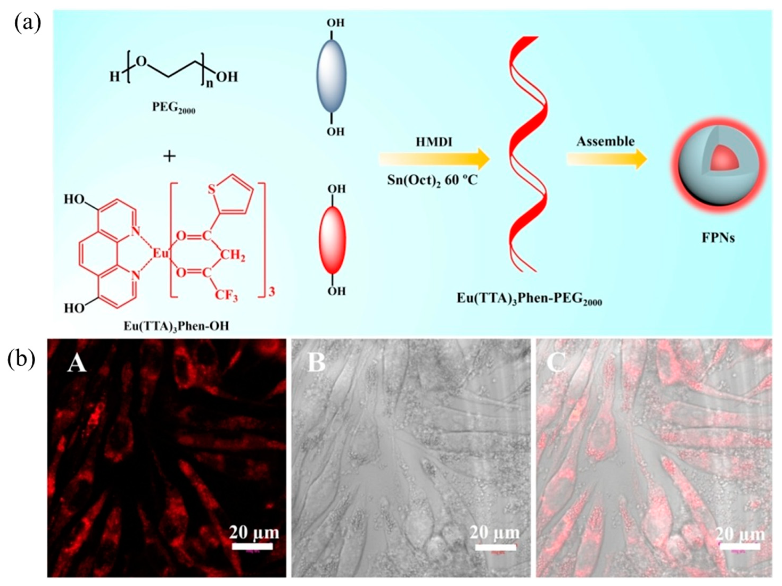 Molecules 28 03819 g009 Molecules 28 03819 g009