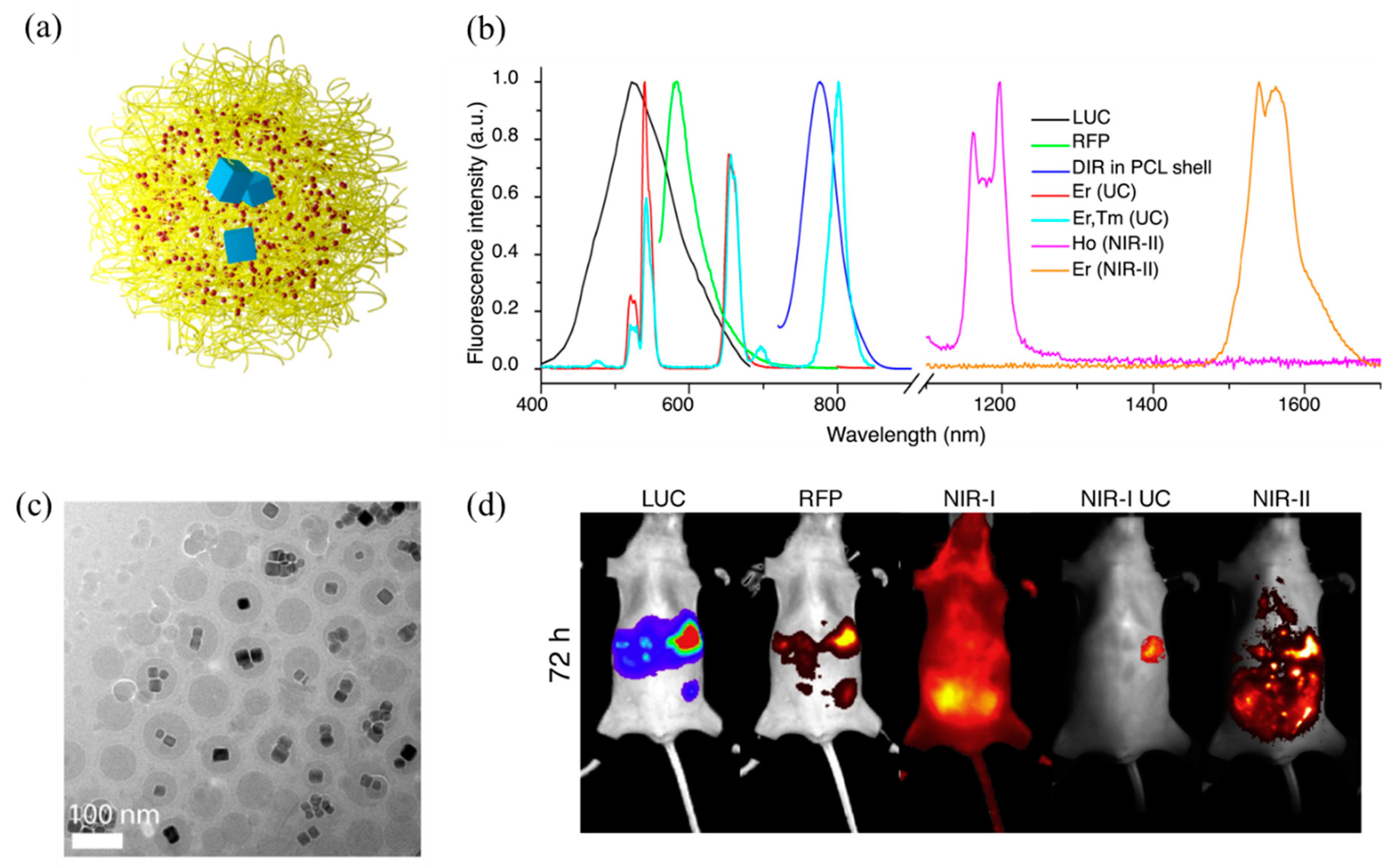Molecules 28 03819 g012 Molecules 28 03819 g012