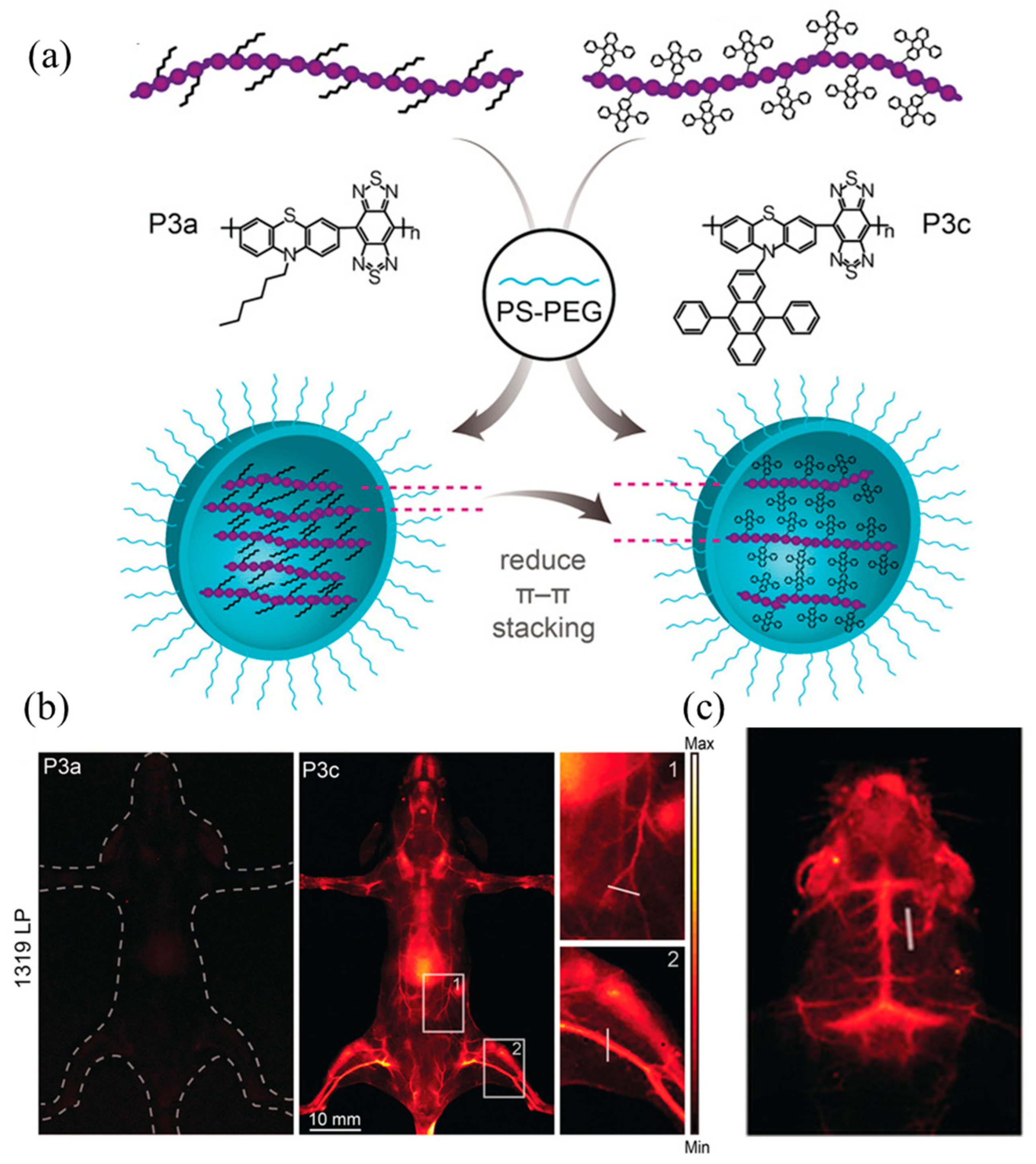 Molecules 28 03819 g016 Molecules 28 03819 g016
