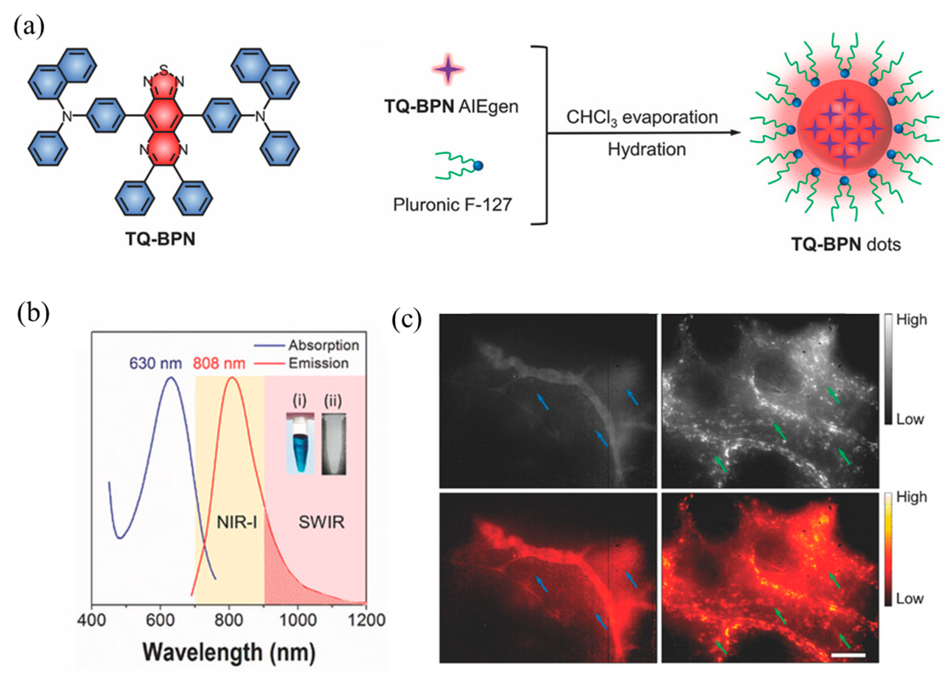 Molecules 28 03819 g017 Molecules 28 03819 g017