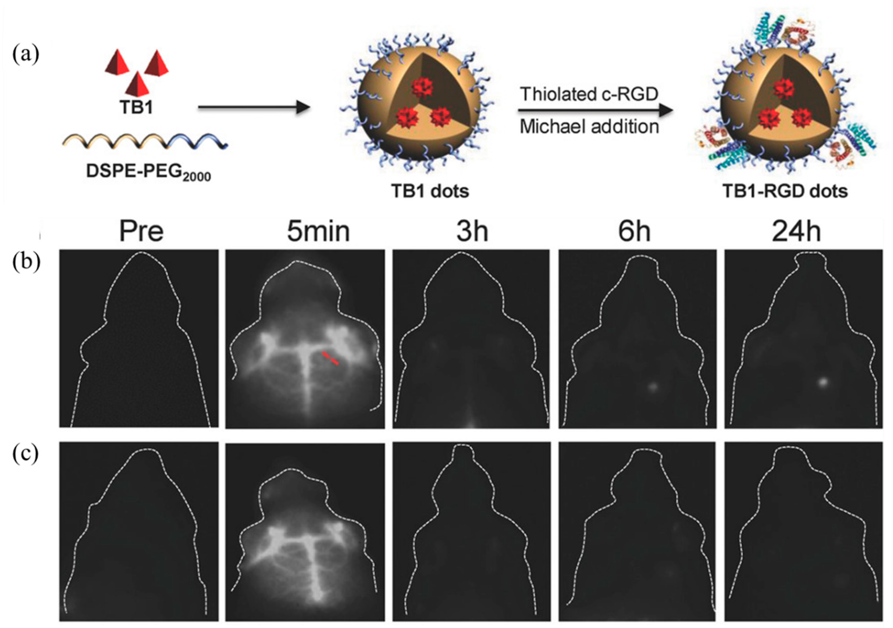 Molecules 28 03819 g019 Molecules 28 03819 g019