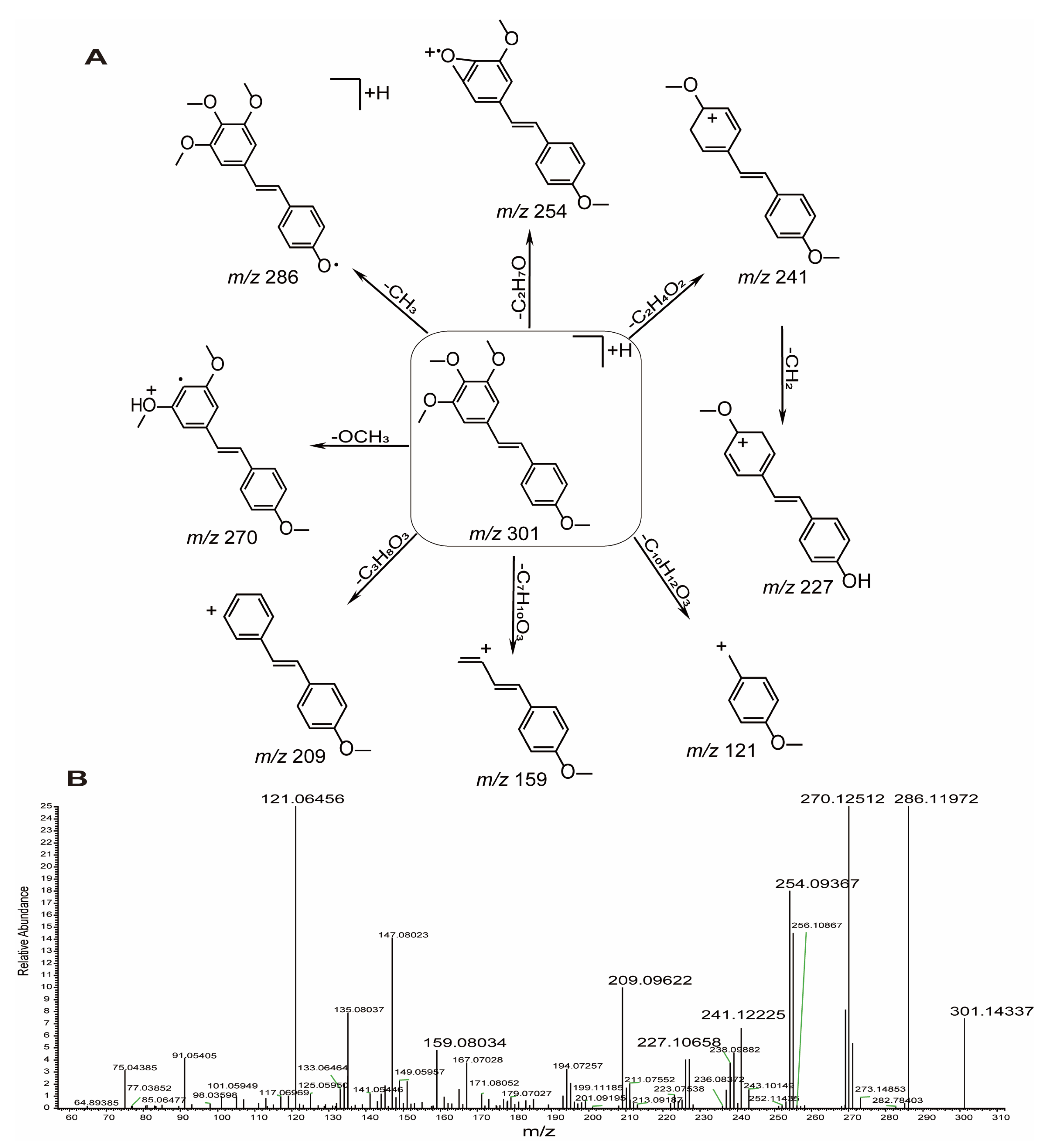 Molecules 28 03828 g003 Molecules 28 03828 g003