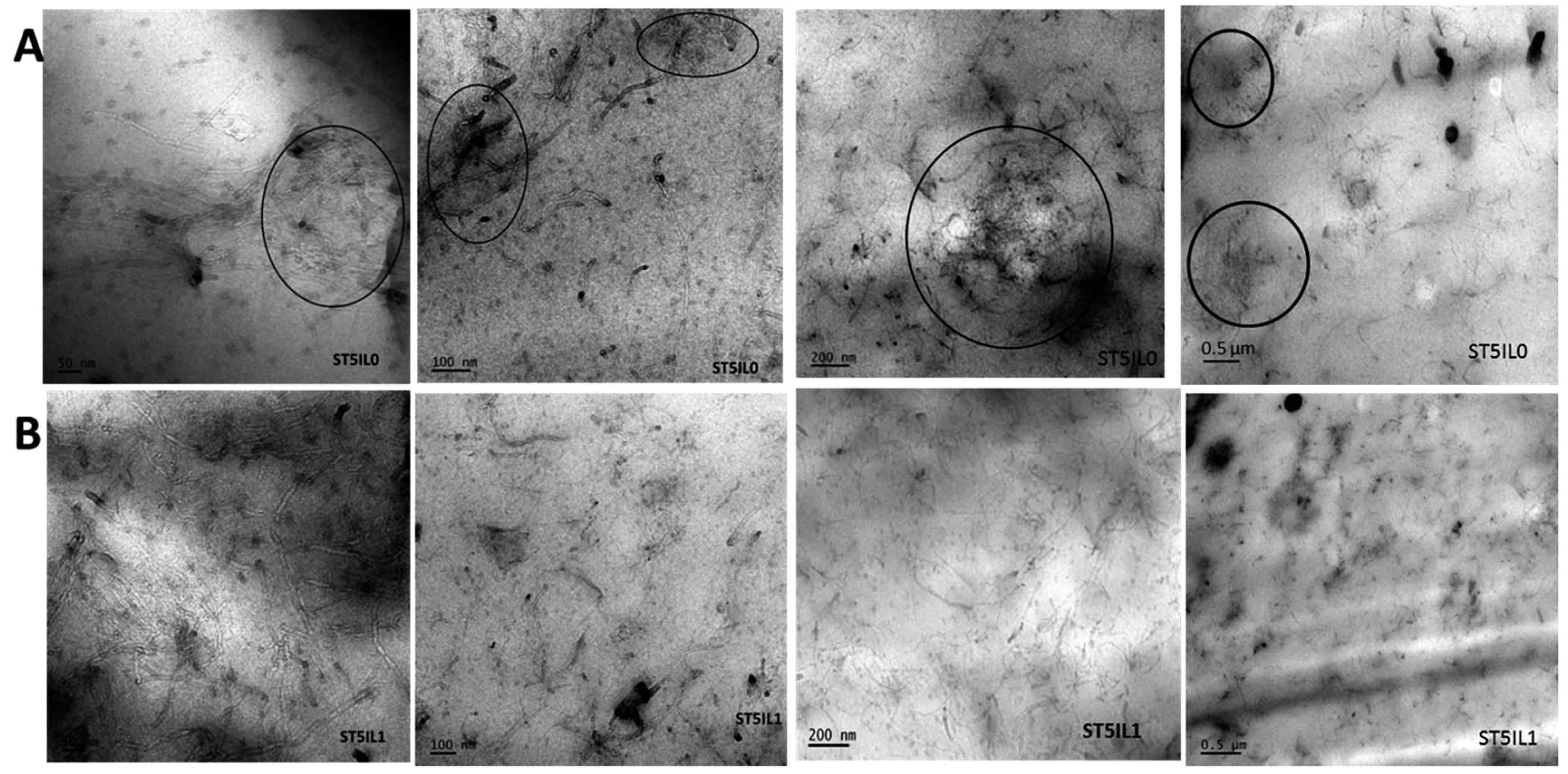 Molecules 28 03836 g006