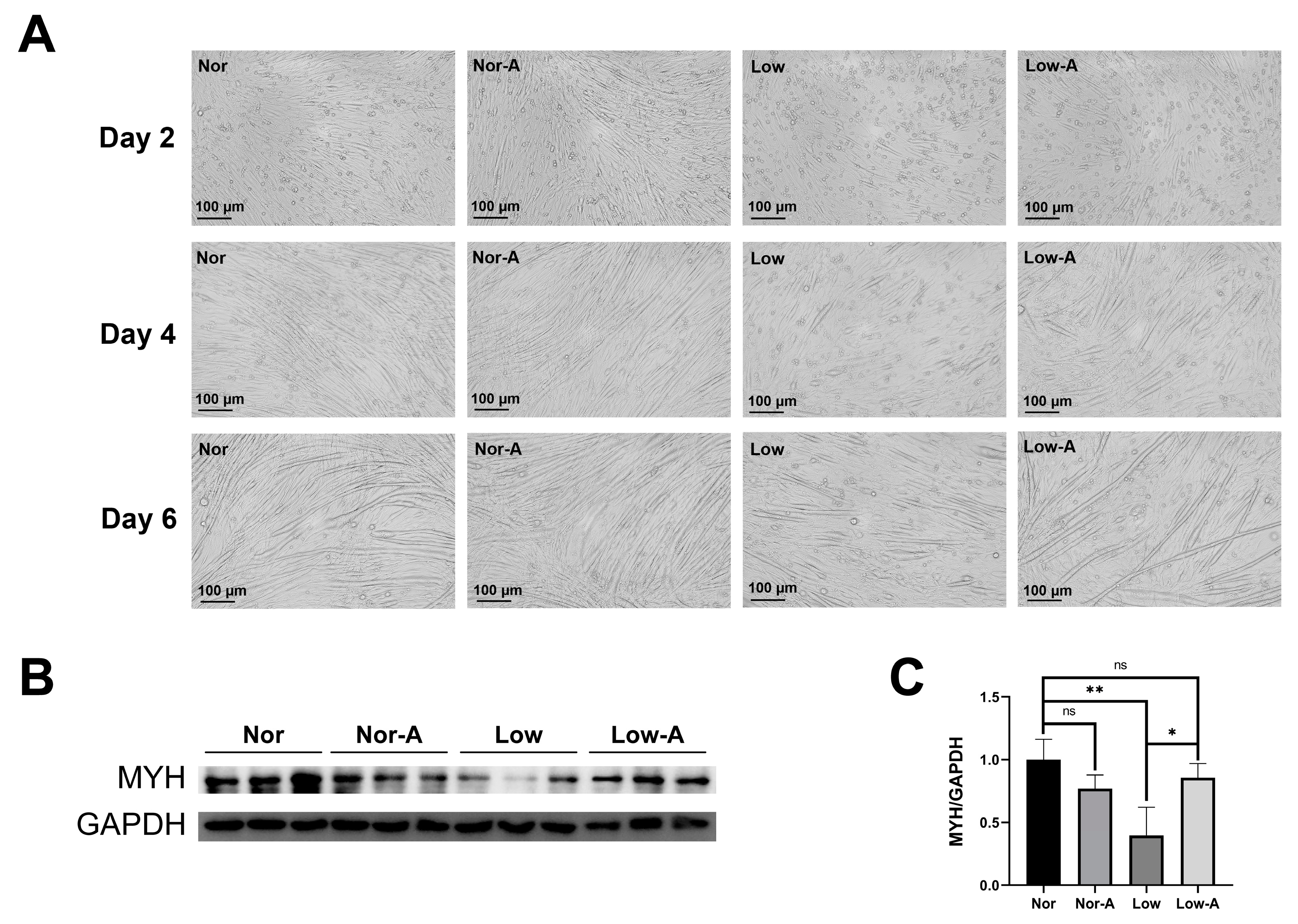 Molecules 28 03840 g001