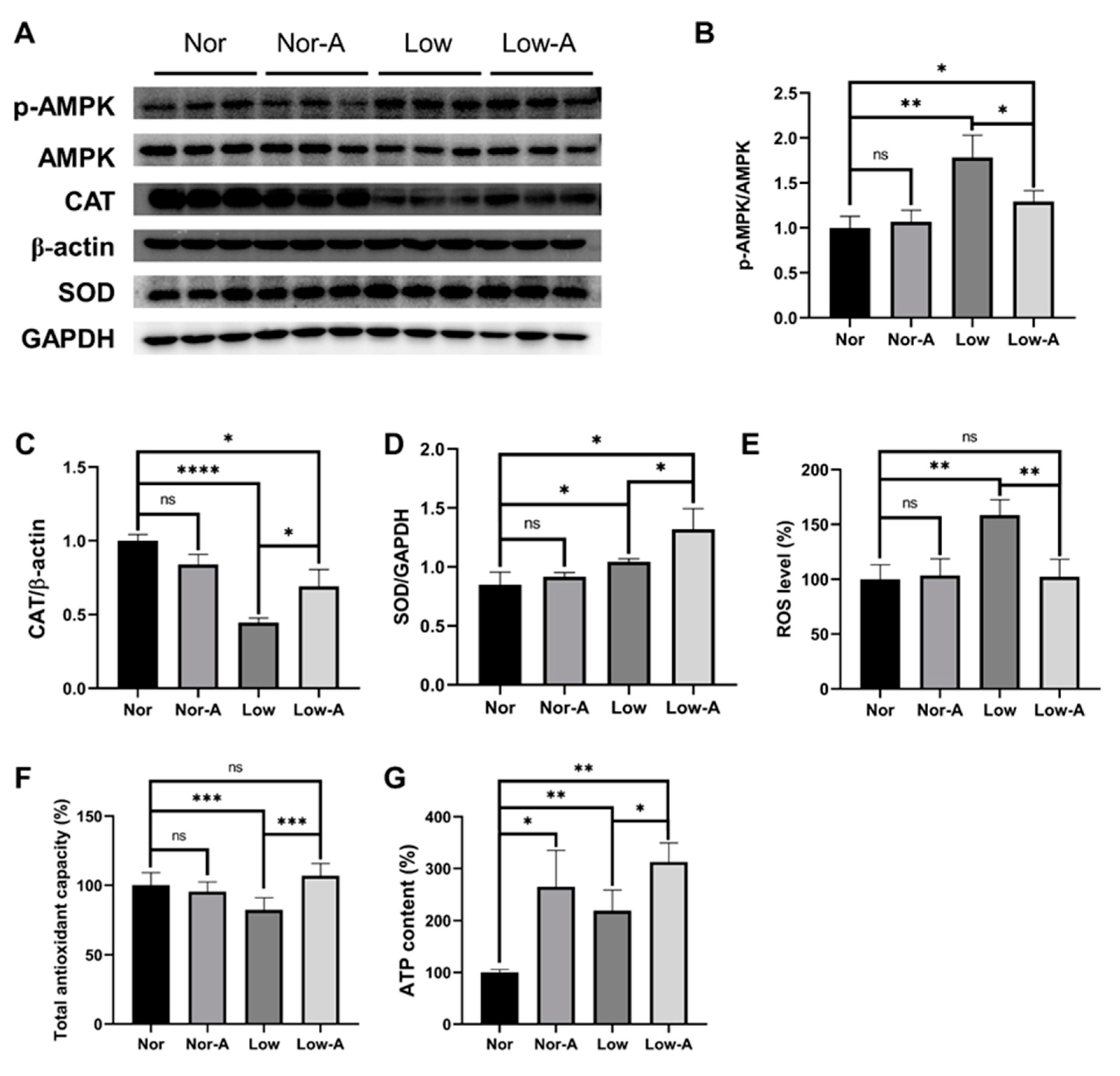 Molecules 28 03840 g006