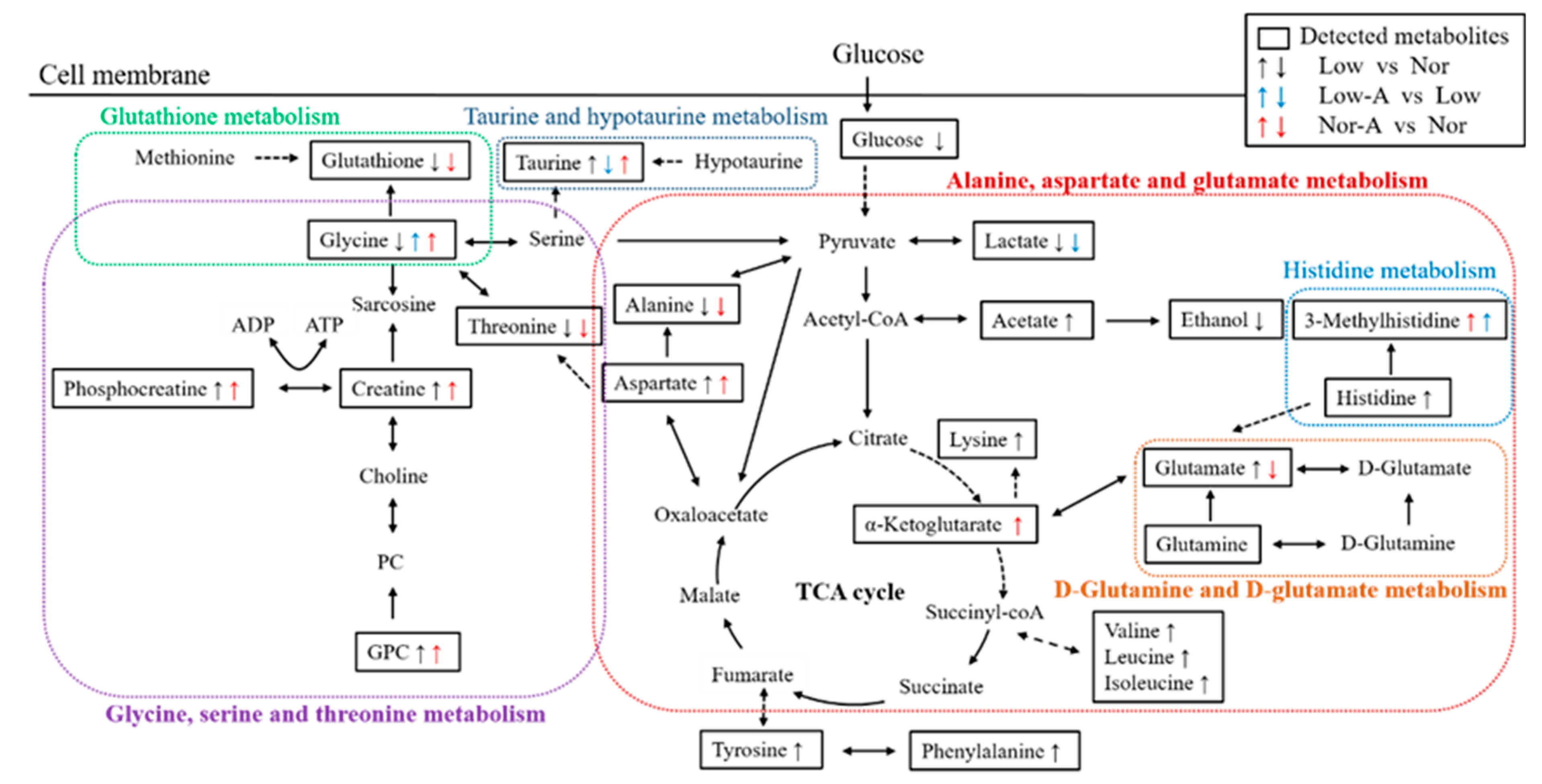 Molecules 28 03840 g007