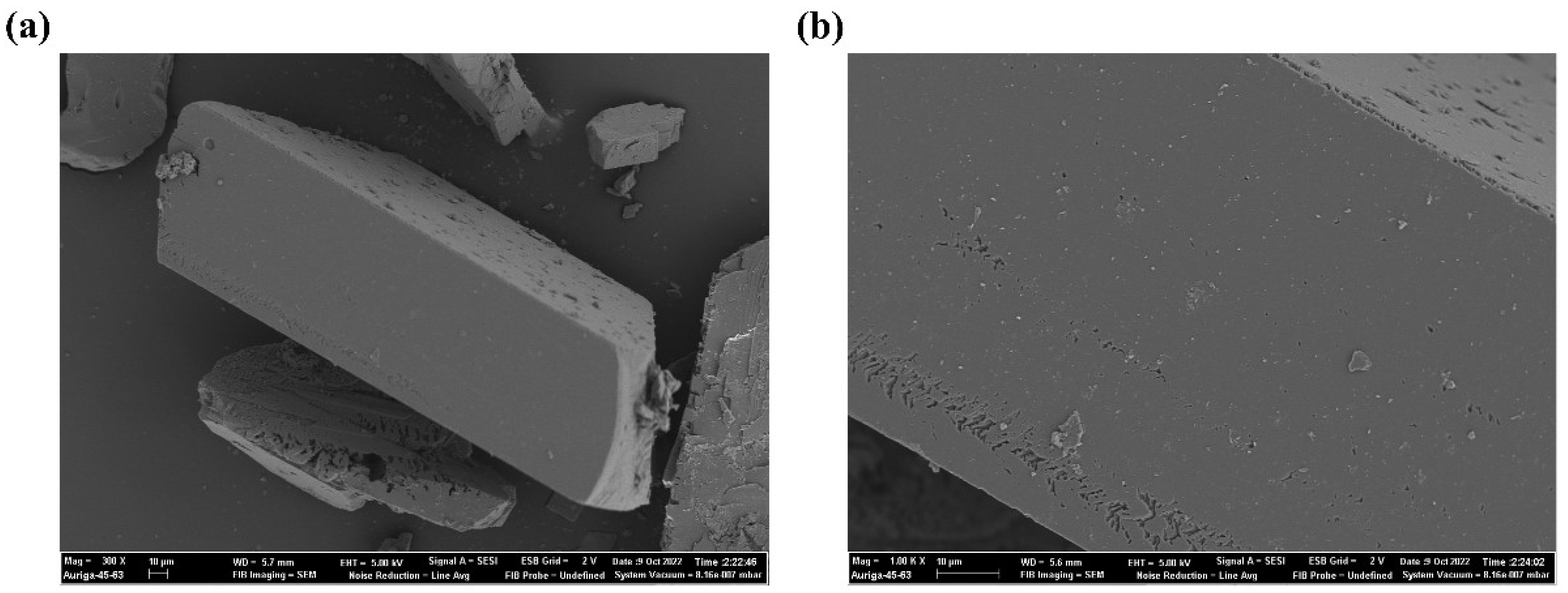 Molecules 28 03841 g017