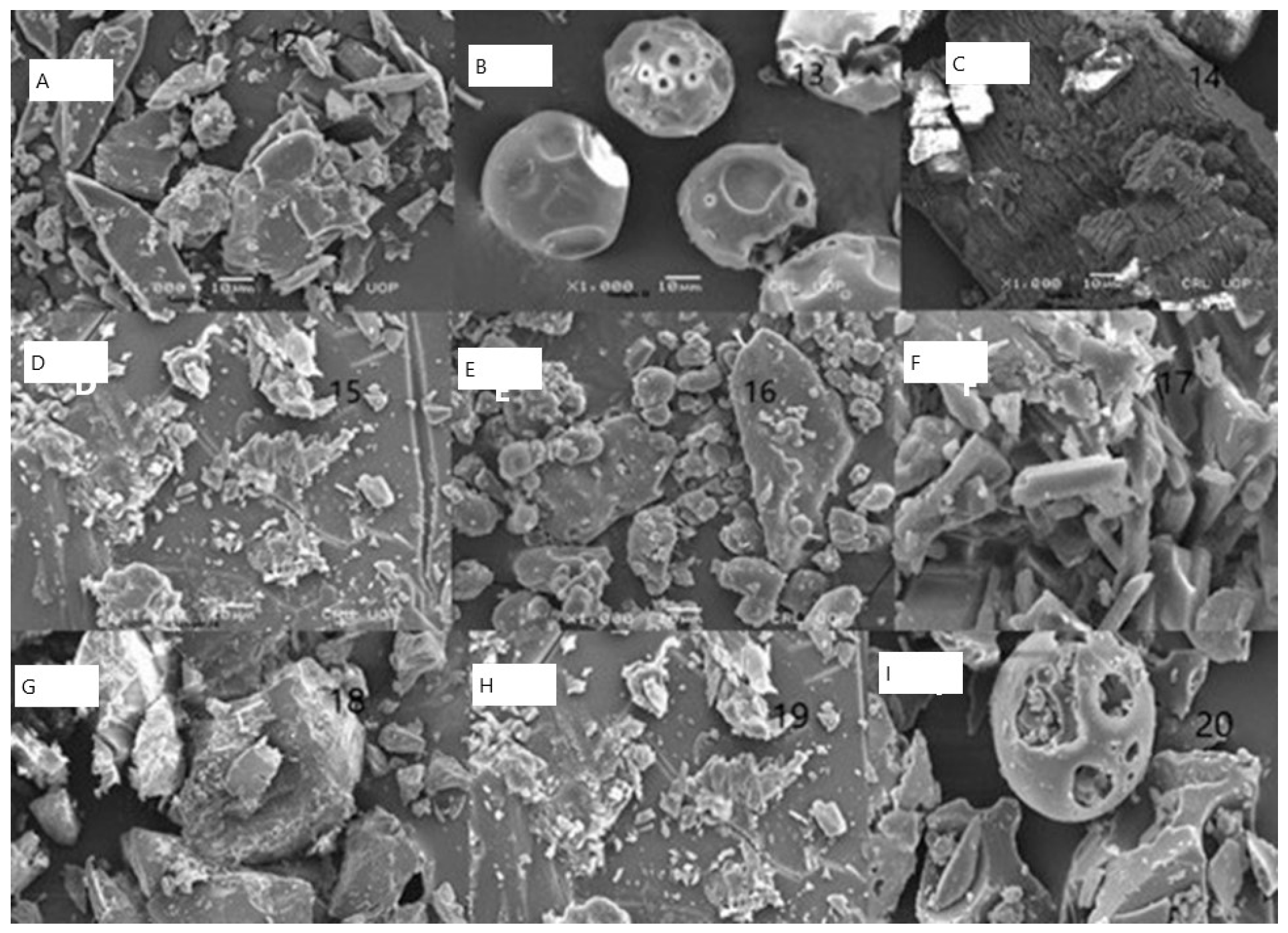 Molecules 28 03860 g004
