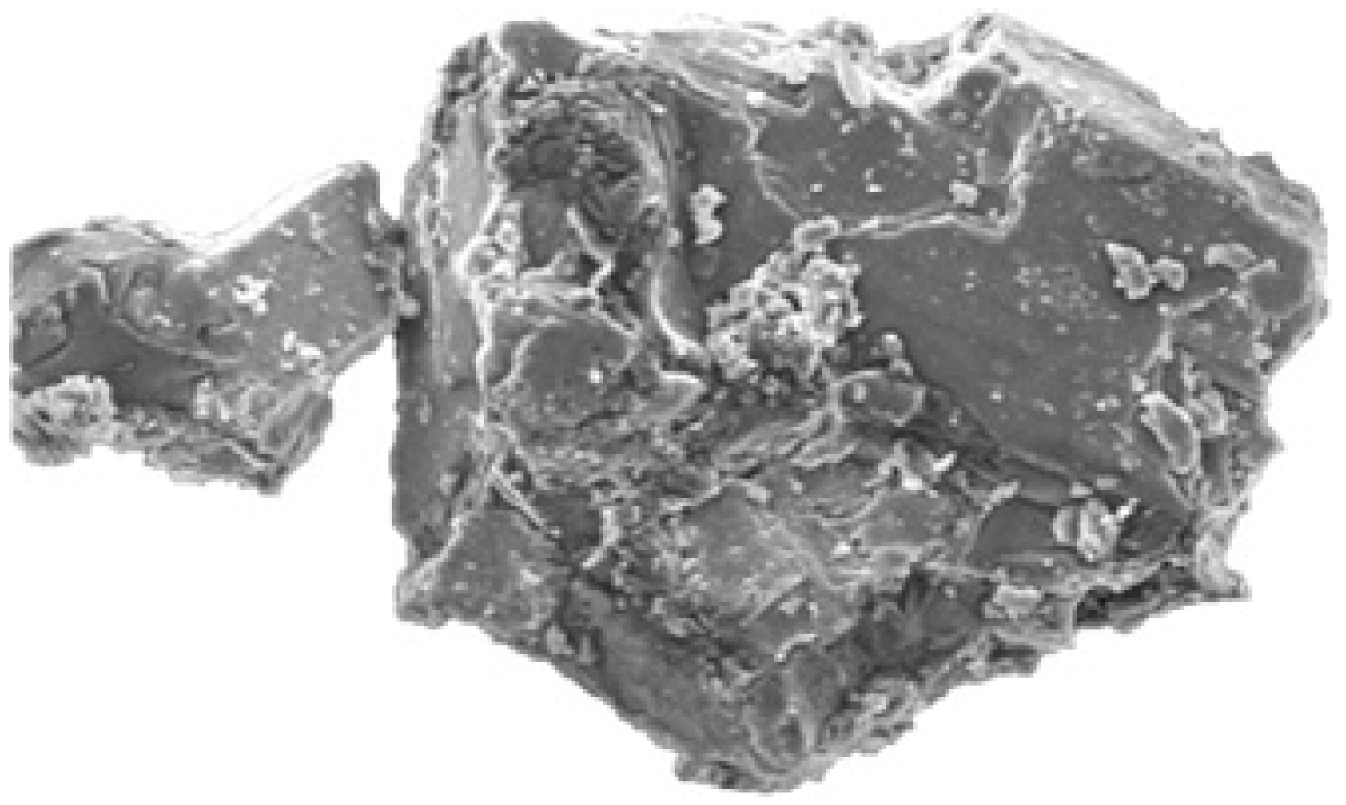 Molecules 28 03860 g005