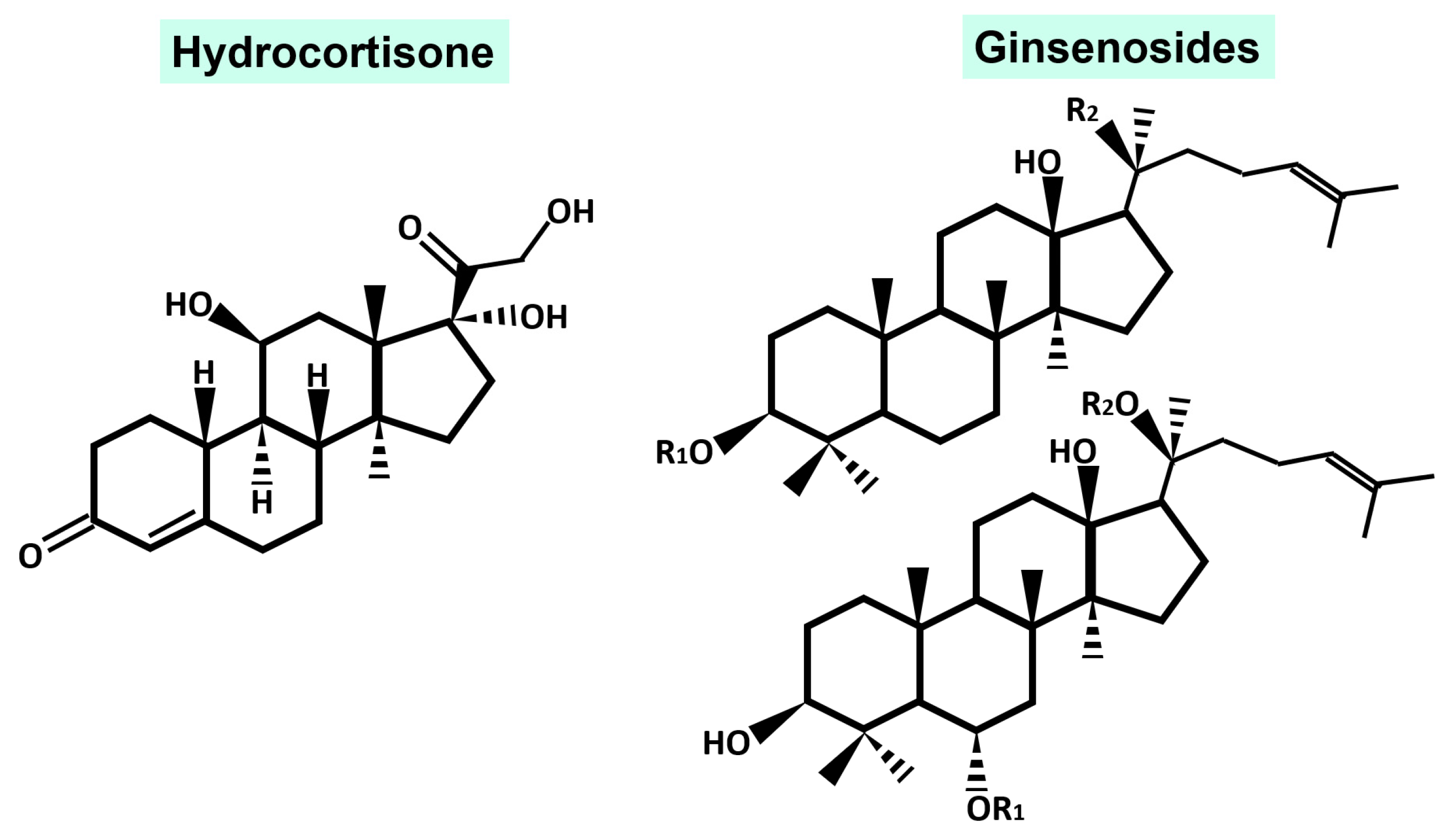 Molecules 28 03863 g001
