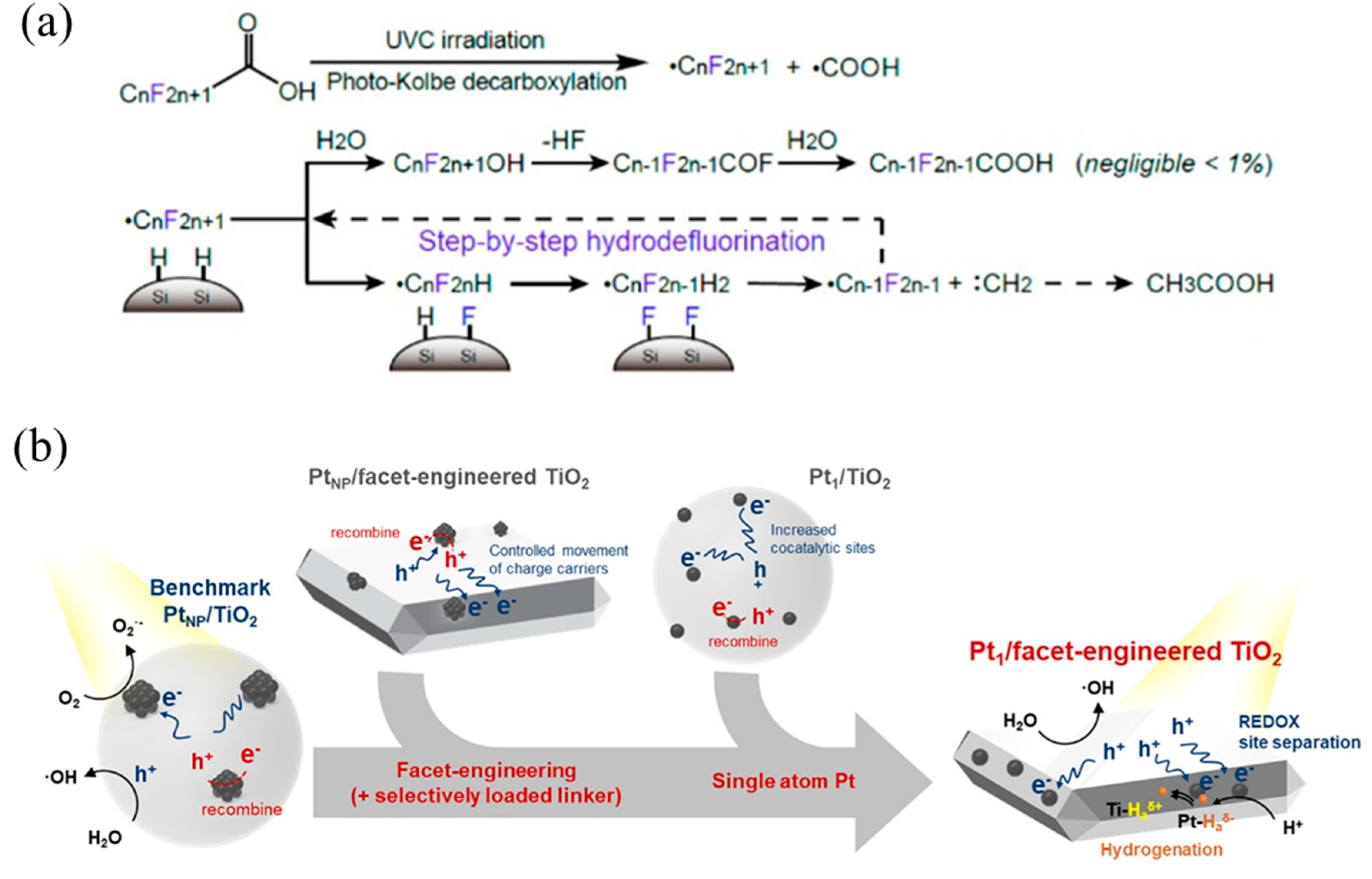 Molecules 28 03865 g010