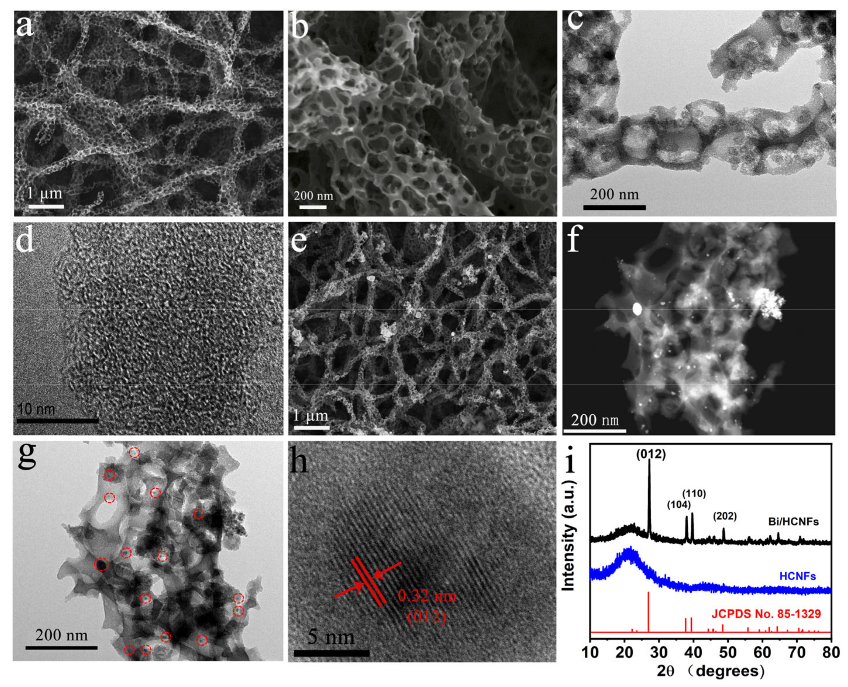 Molecules 28 03881 g001