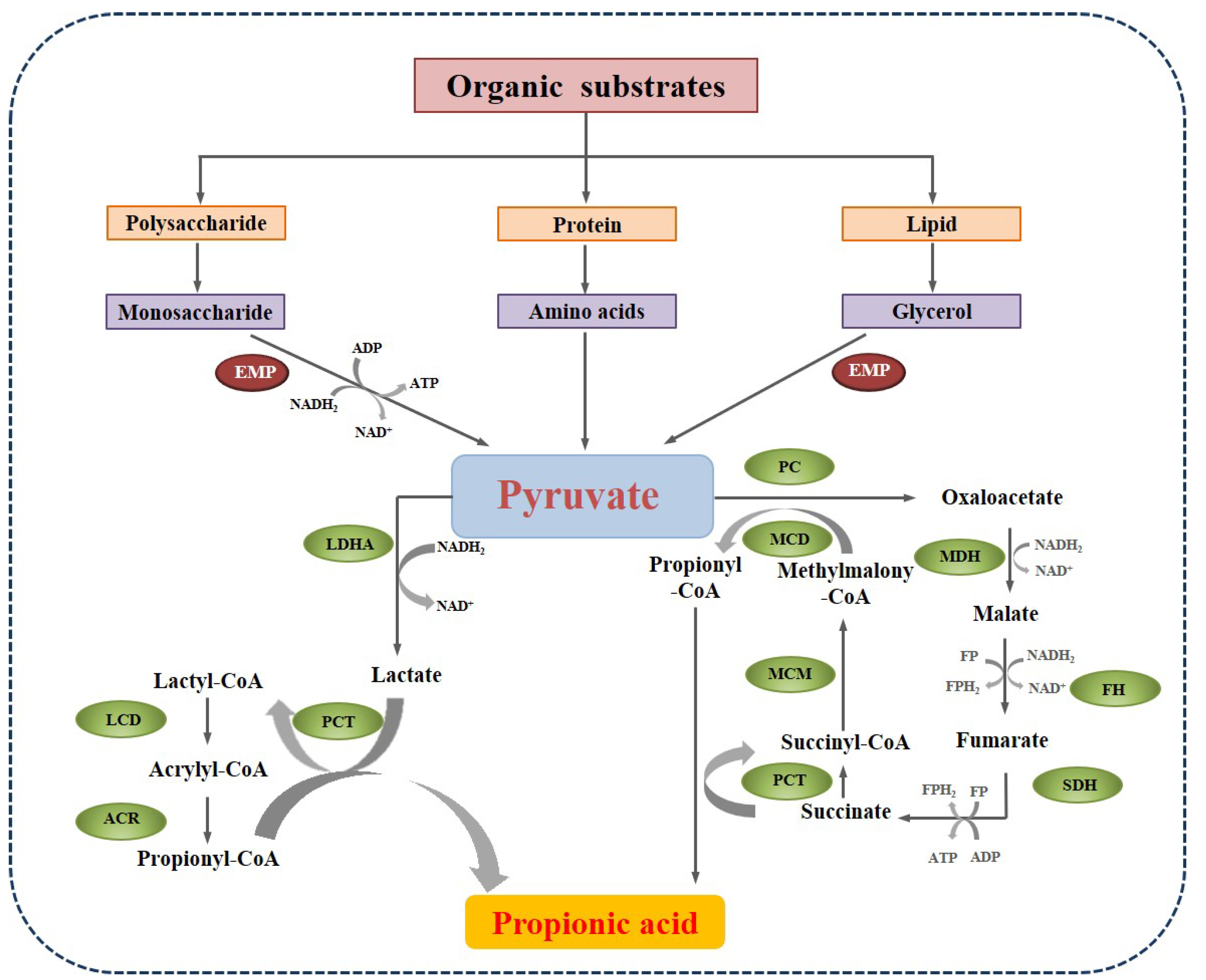 Molecules 28 03883 g003