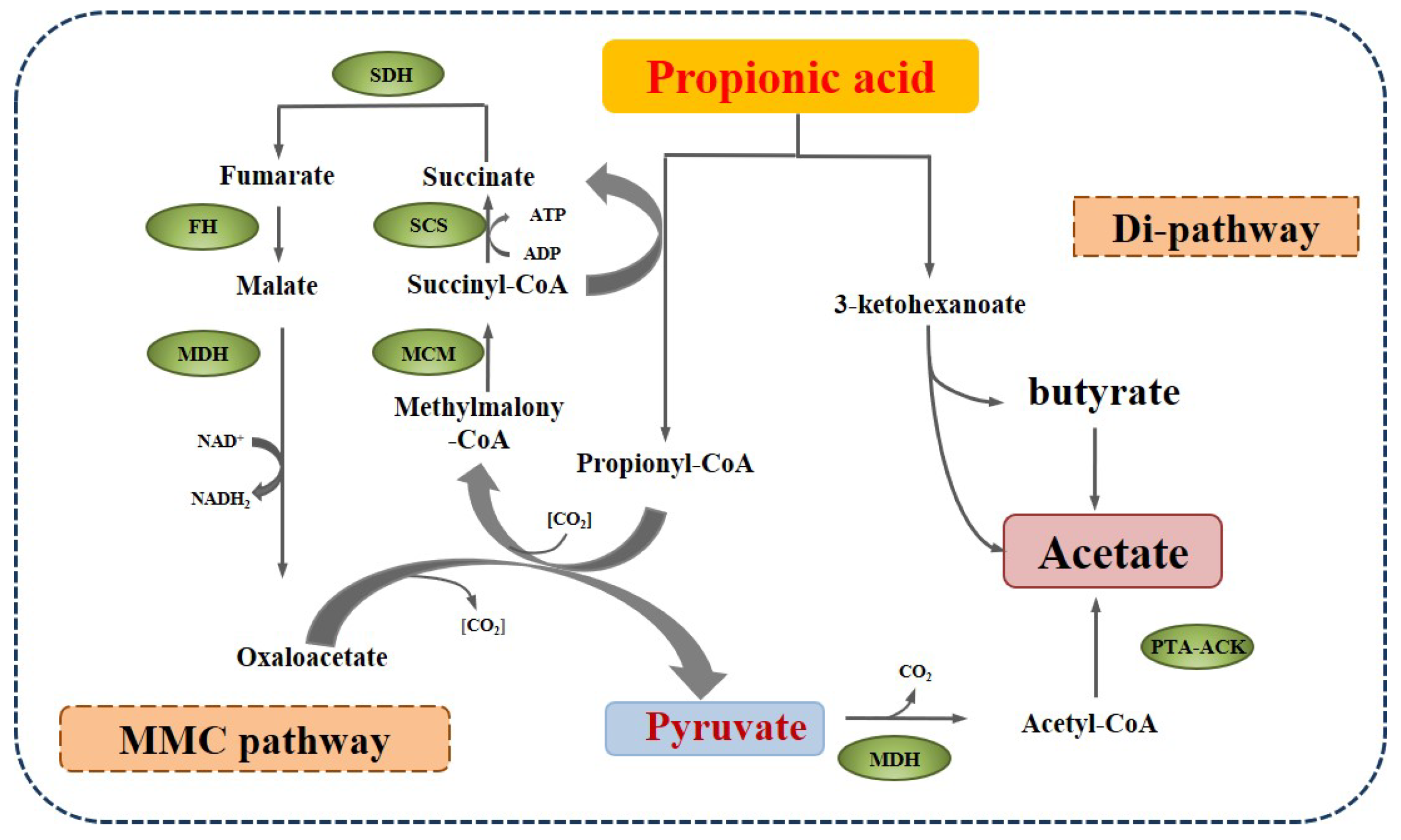 Molecules 28 03883 g004