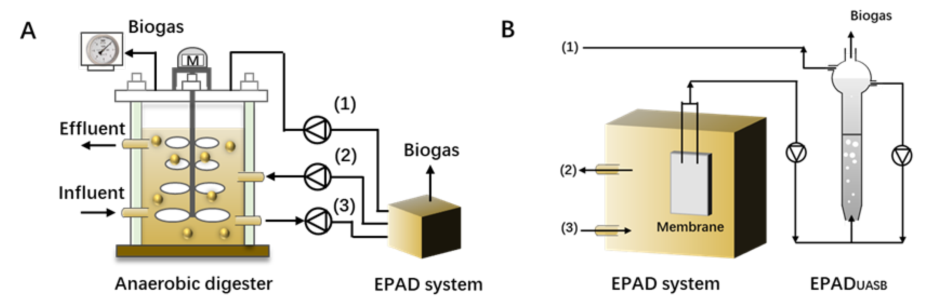 Molecules 28 03883 g005