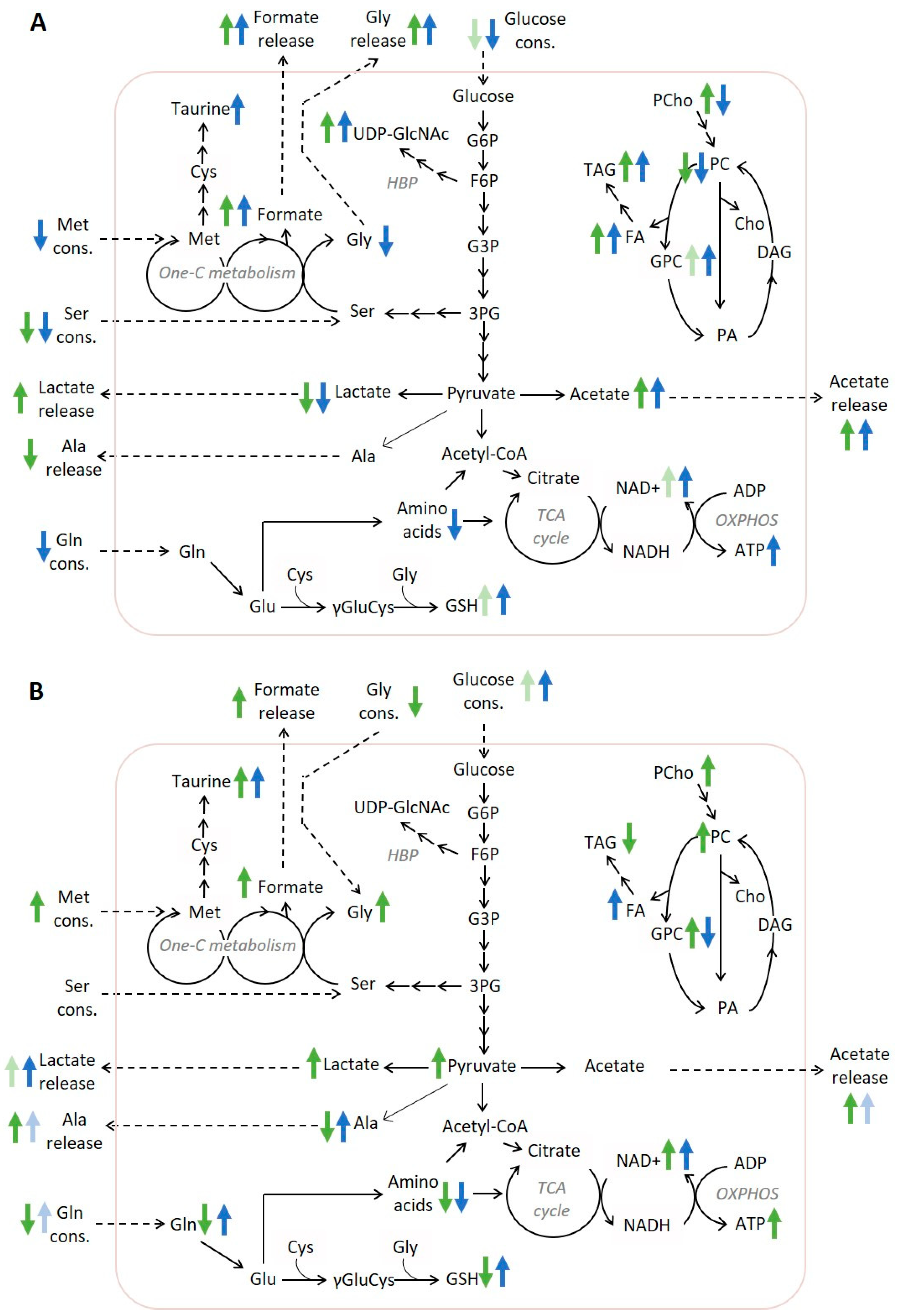 Molecules 28 03886 g006 Molecules 28 03886 g006