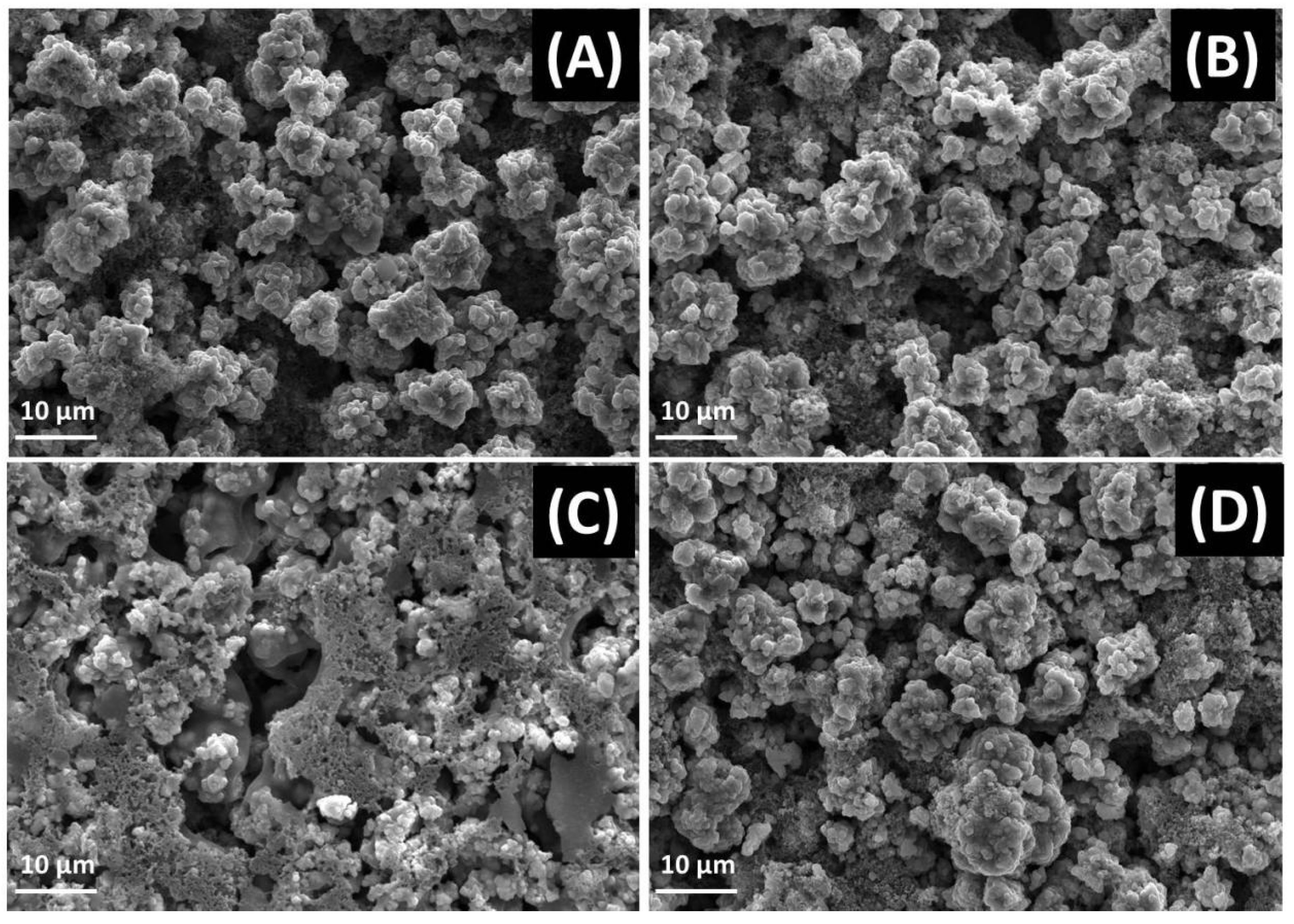 Molecules 28 03890 g008
