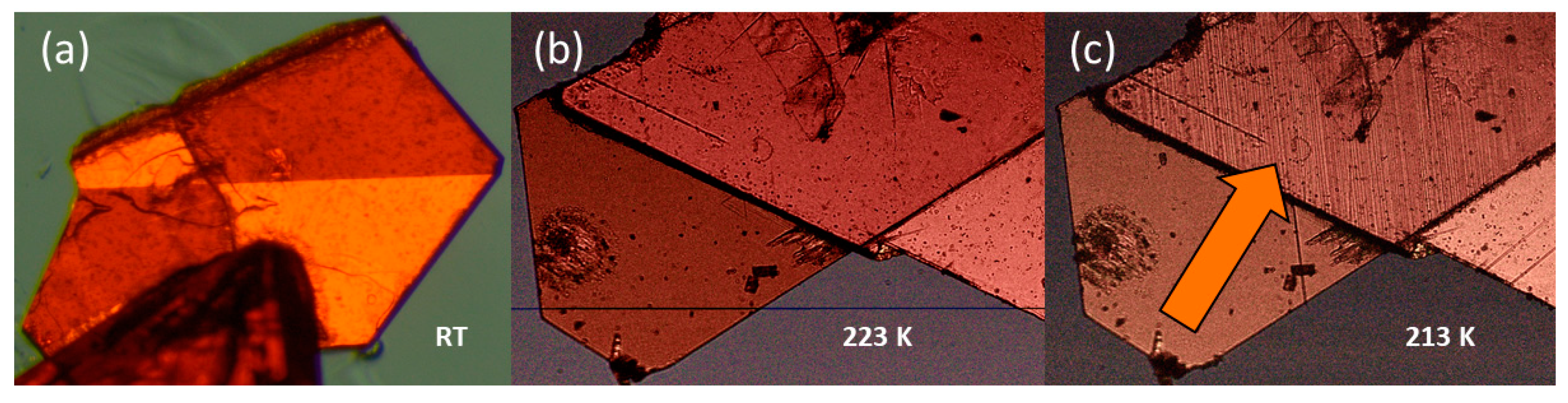 Molecules 28 03894 g003