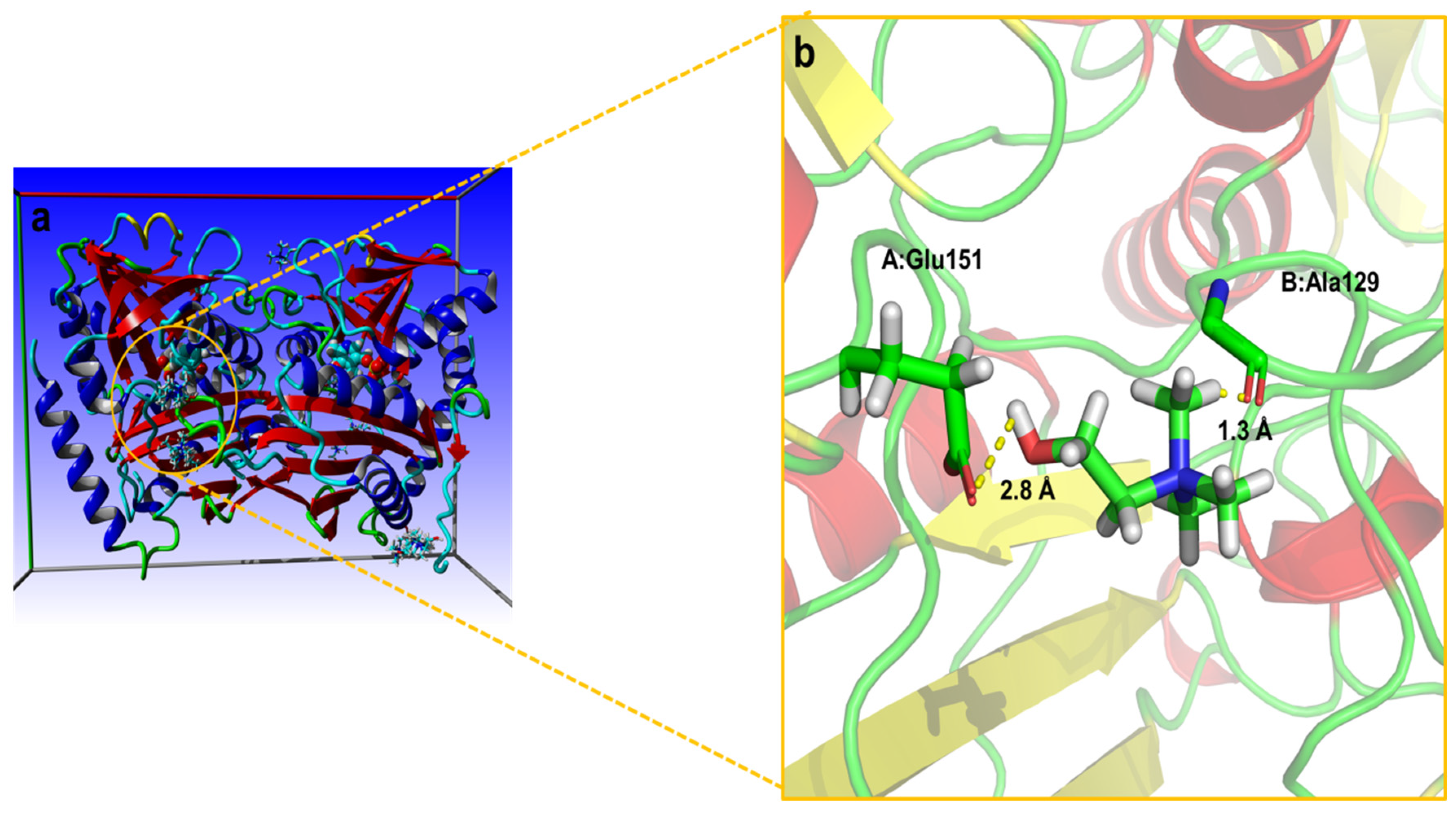 Molecules 28 03895 g006