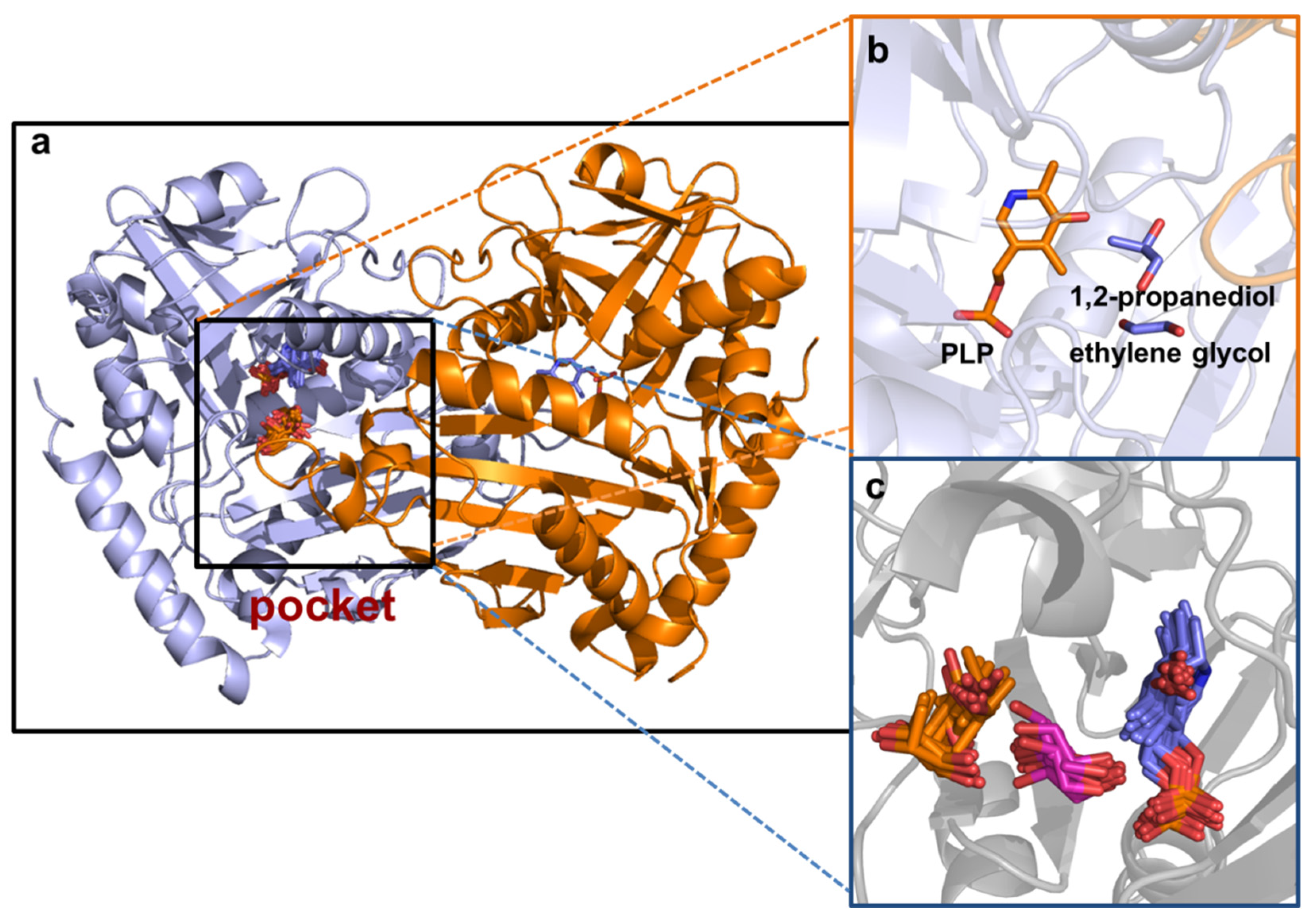 Molecules 28 03895 g007