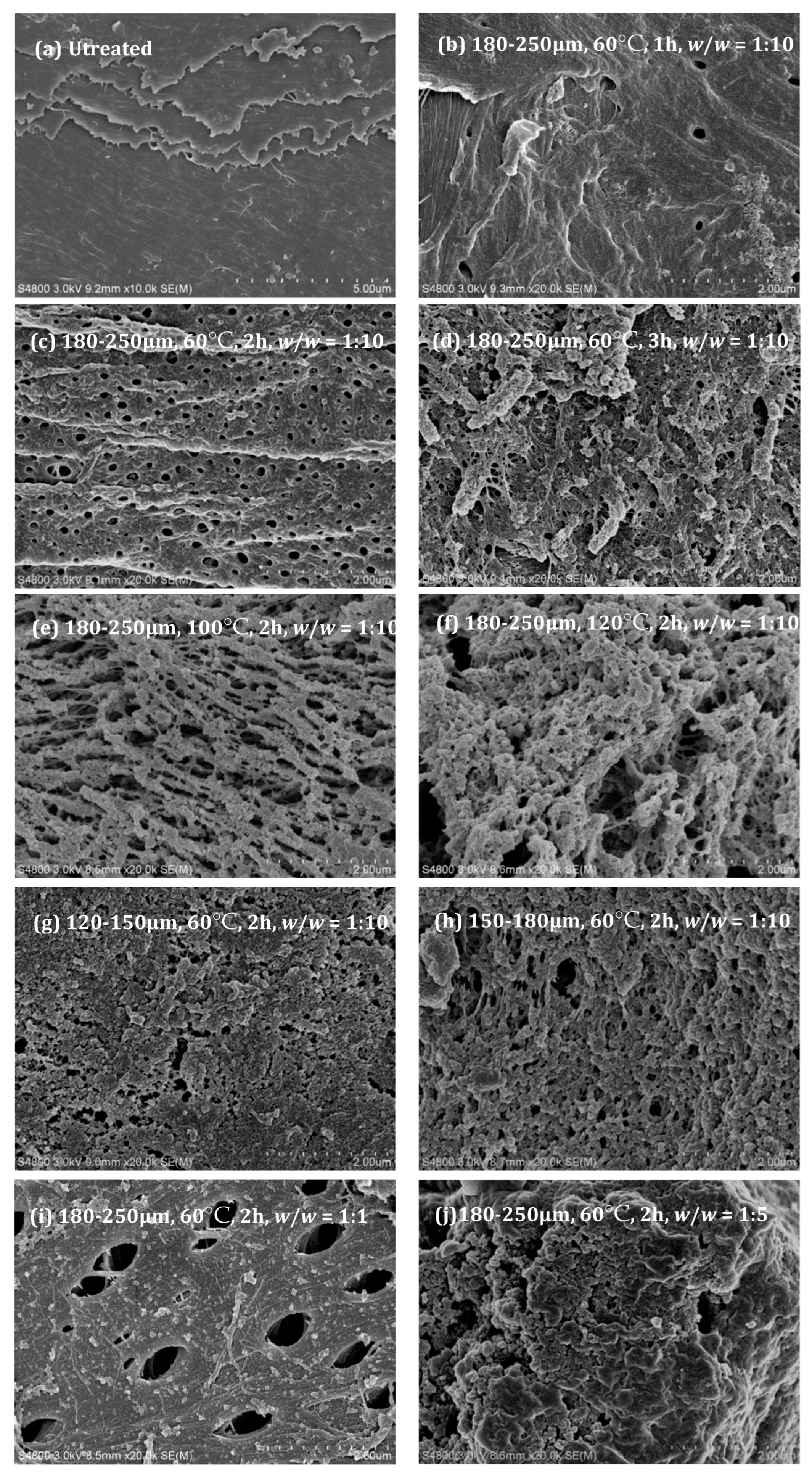 Molecules 28 03897 g001