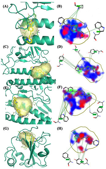 Molecules 28 03908 g008
