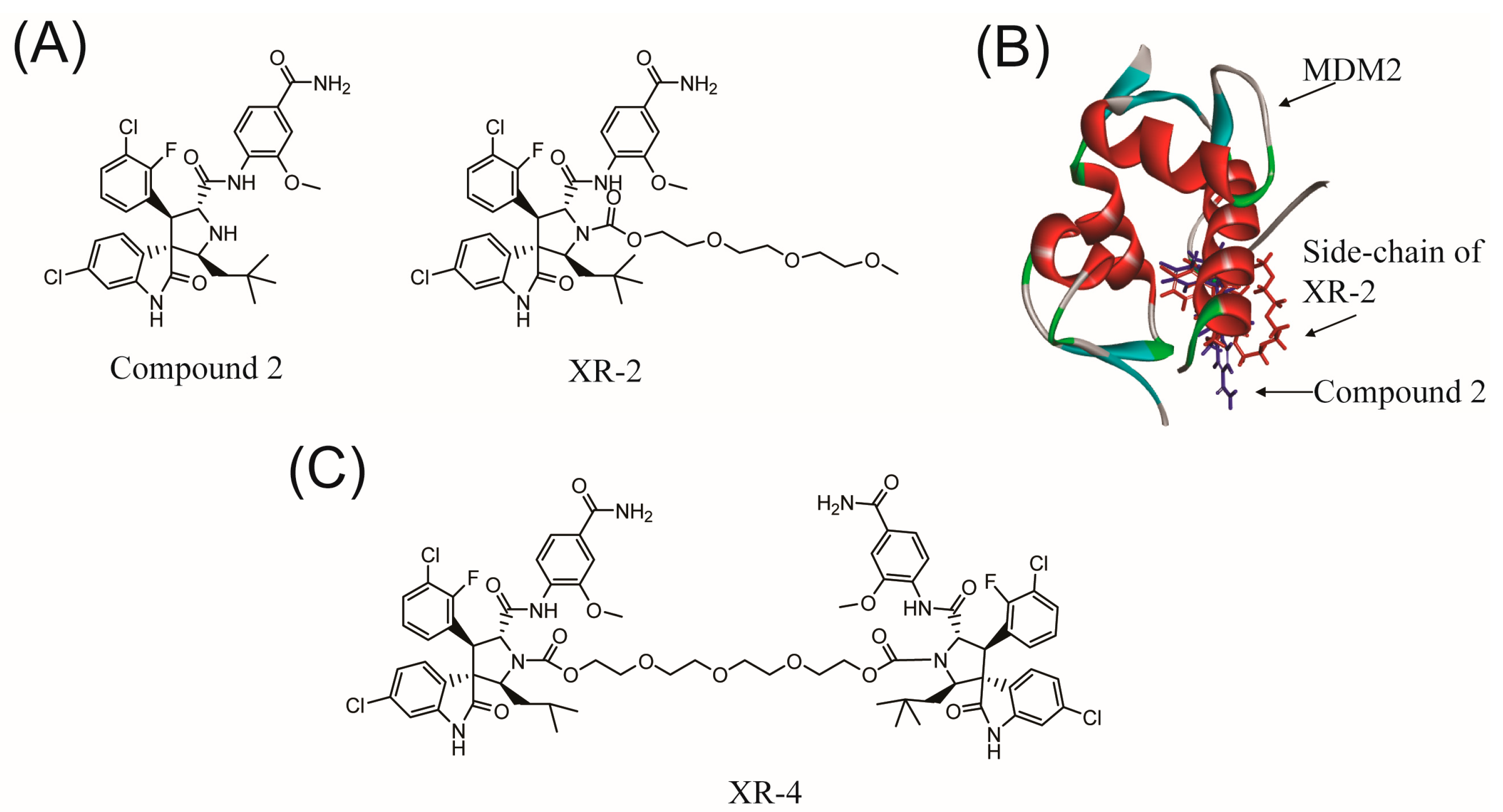 Molecules 28 03912 g001