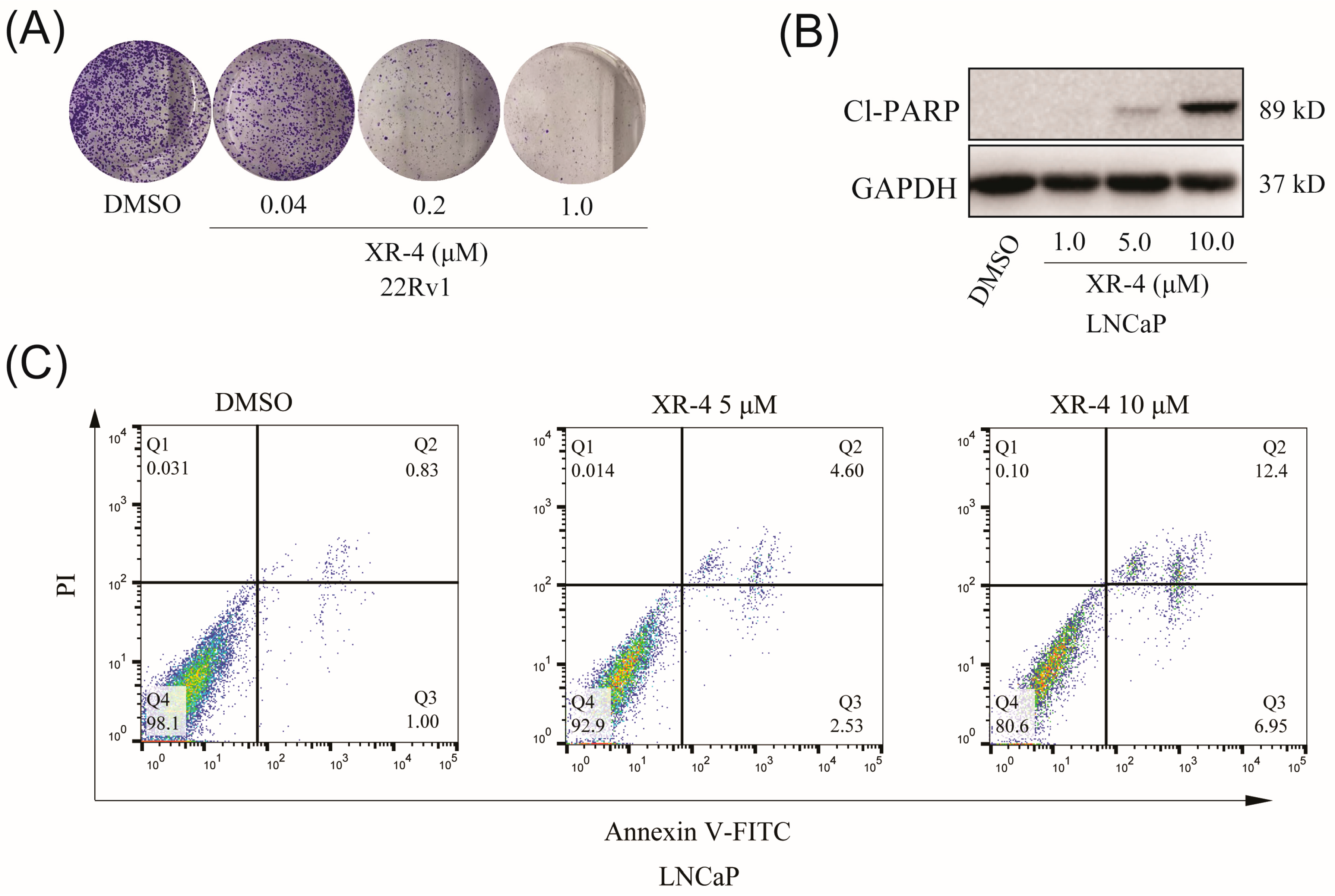 Molecules 28 03912 g005