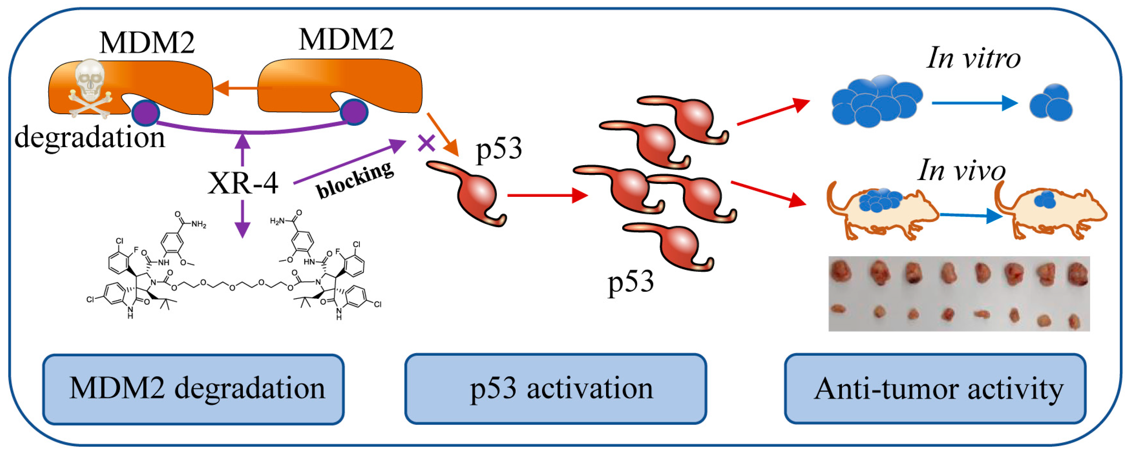 Molecules 28 03912 sch001