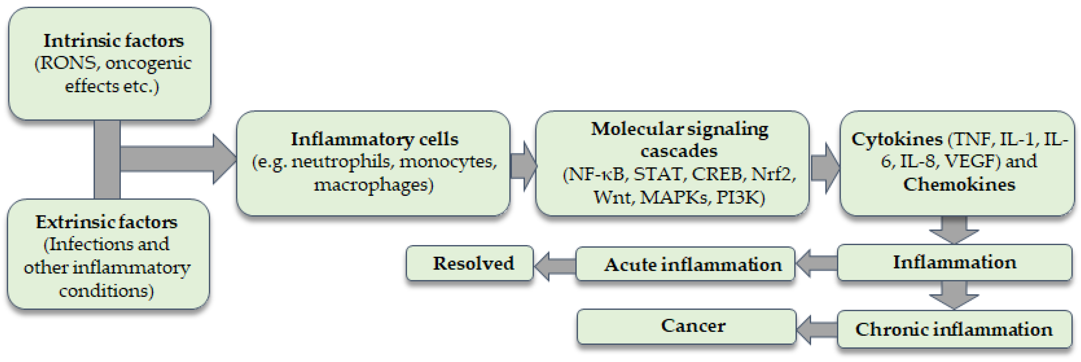 Molecules 28 03913 g001 Molecules 28 03913 g001