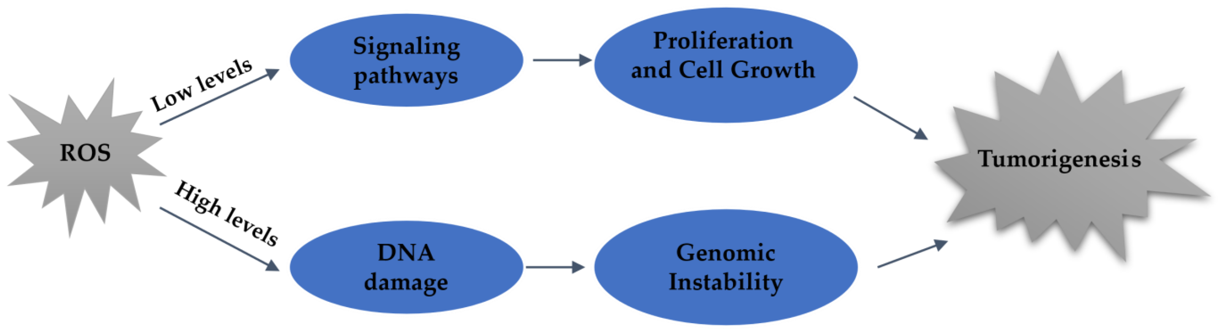 Molecules 28 03913 g002 Molecules 28 03913 g002