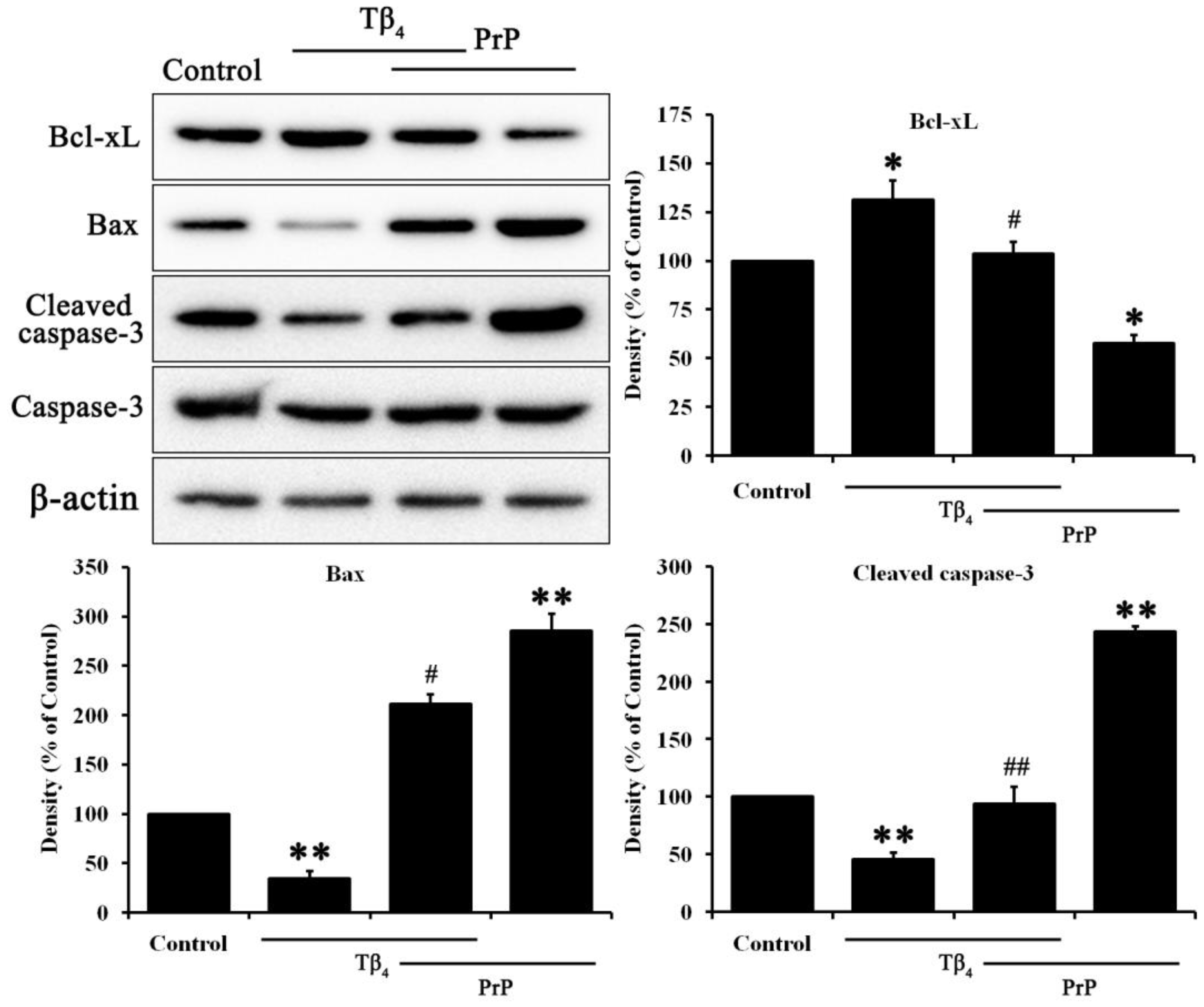 Molecules 28 03920 g002