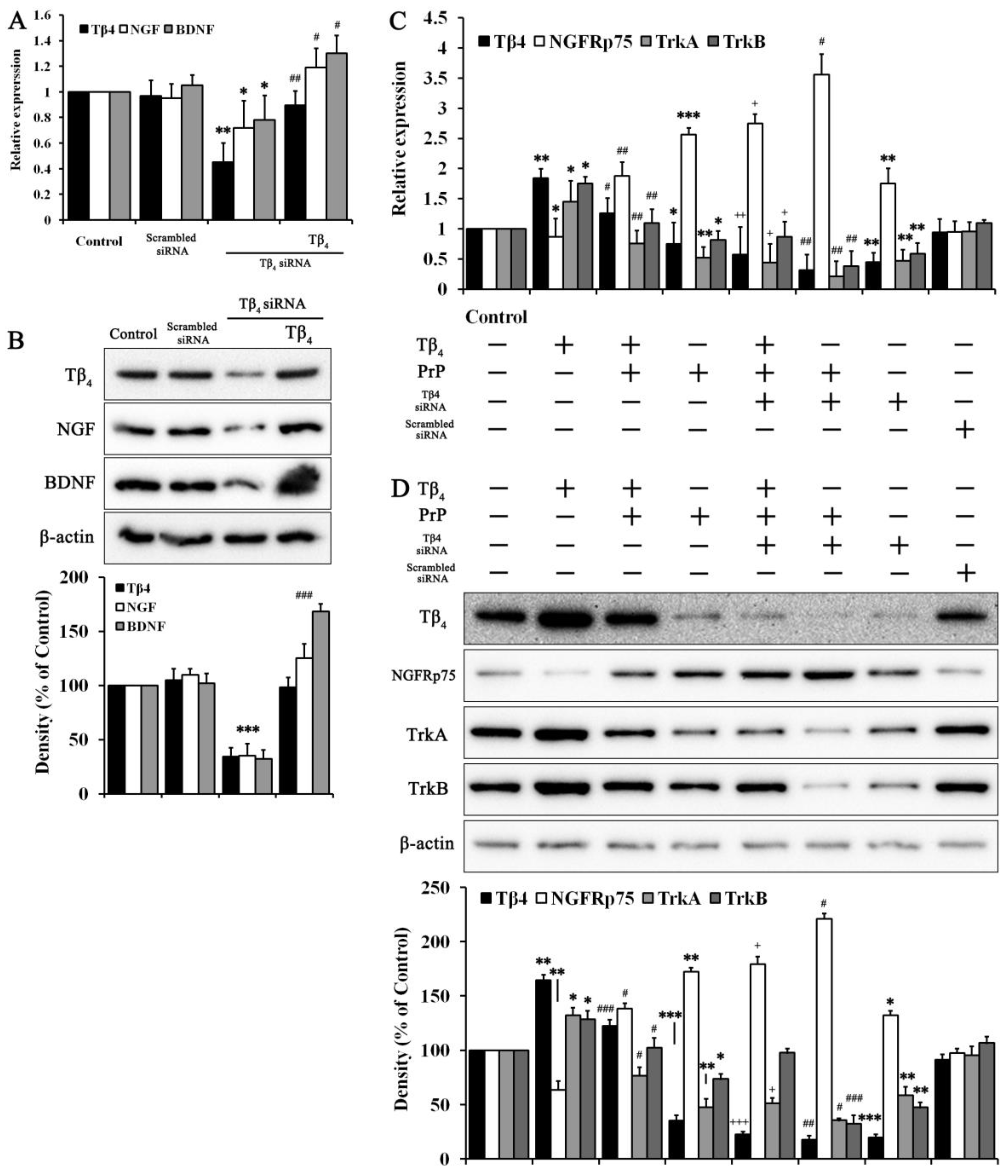 Molecules 28 03920 g004