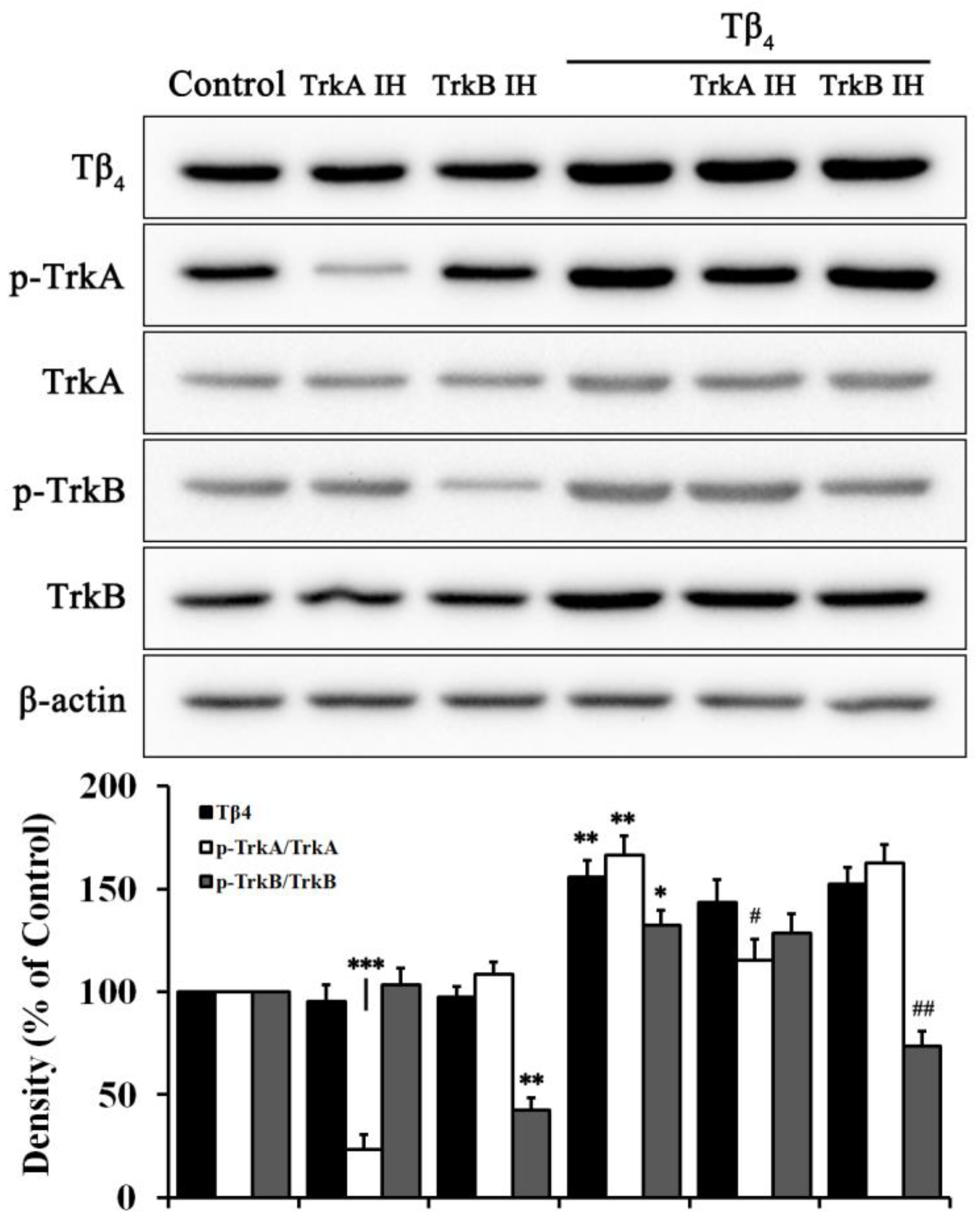 Molecules 28 03920 g005