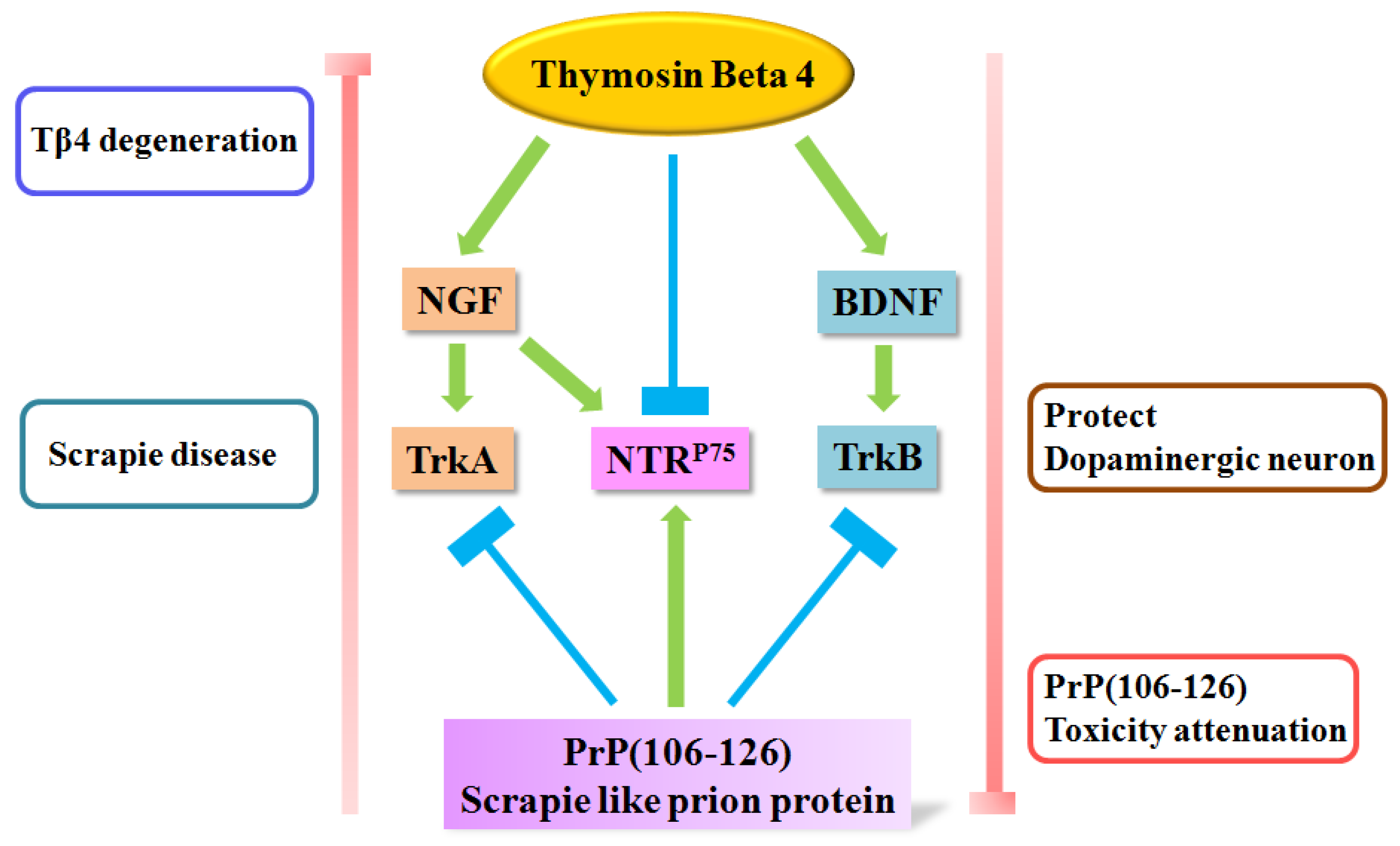 Molecules 28 03920 g007