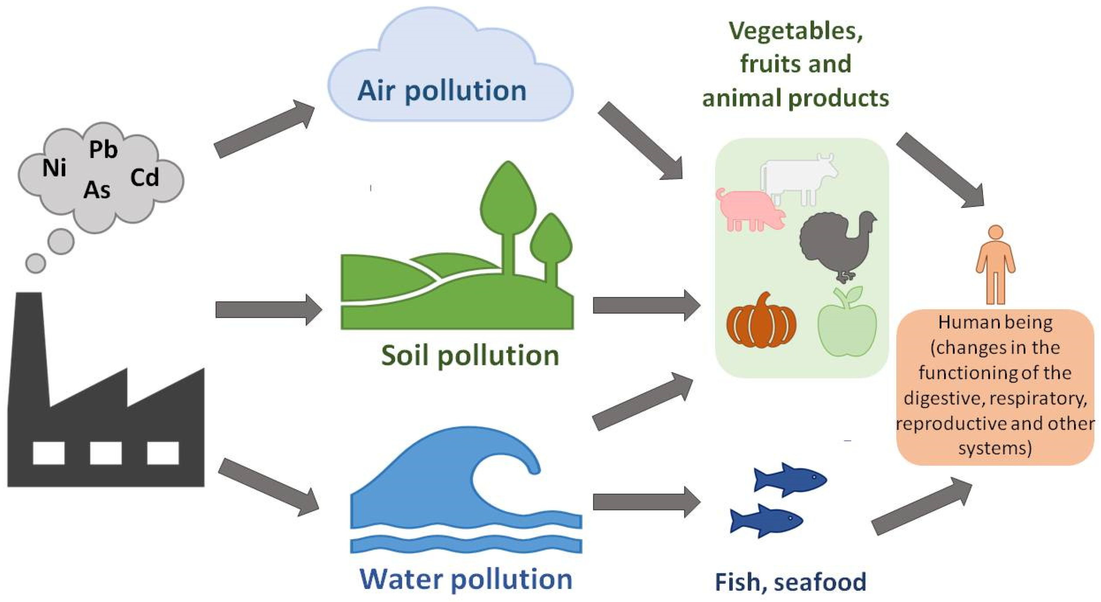 Molecules 28 03921 g001