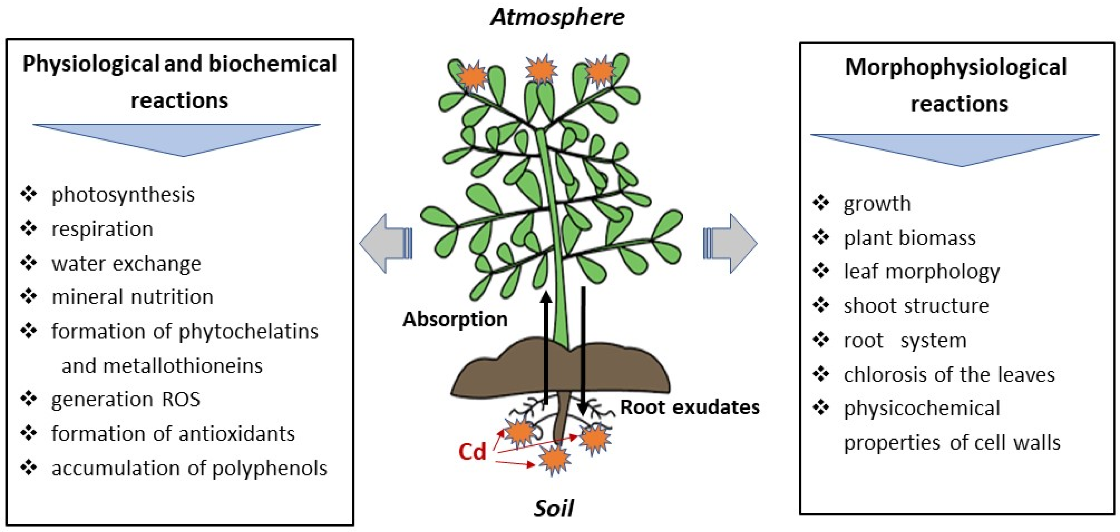 Molecules 28 03921 g004