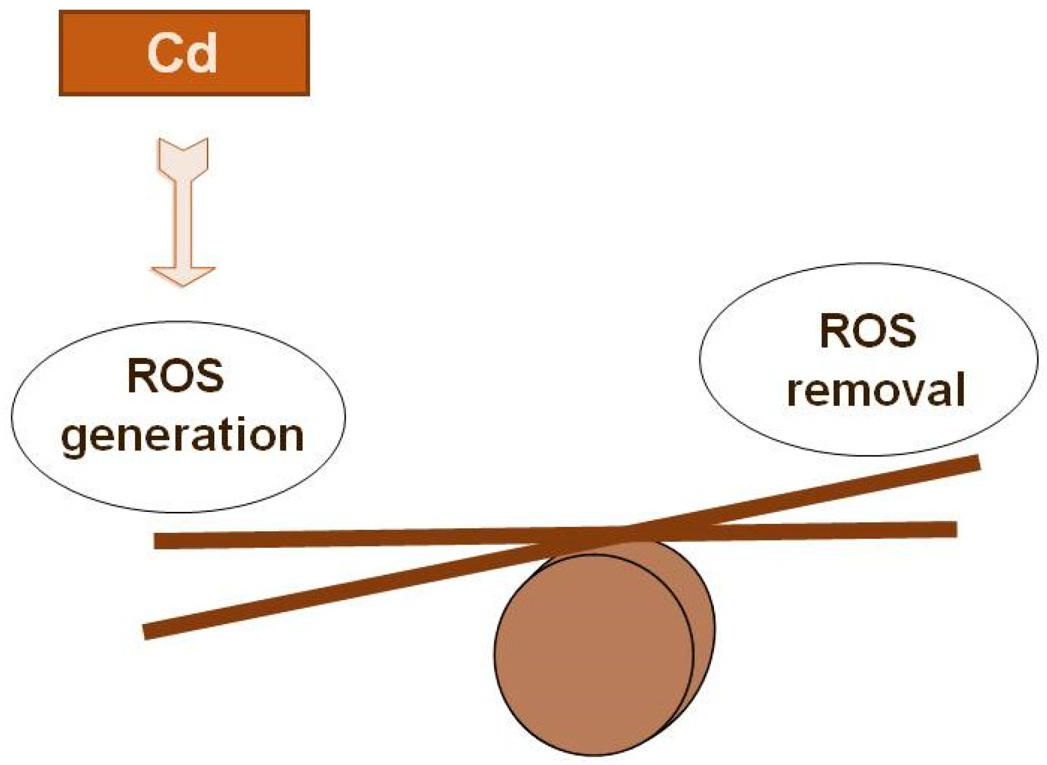 Molecules 28 03921 g005