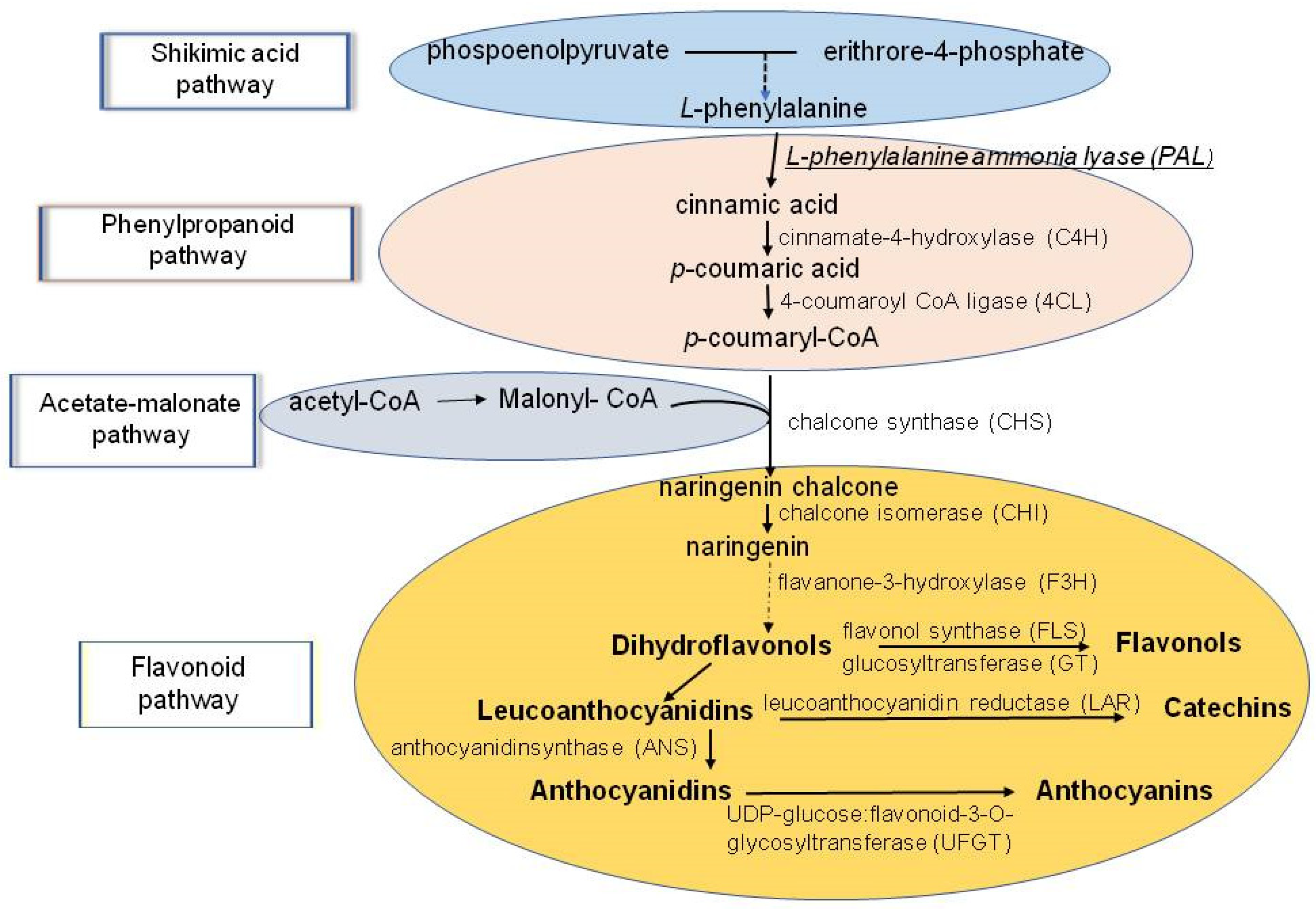 Molecules 28 03921 g007