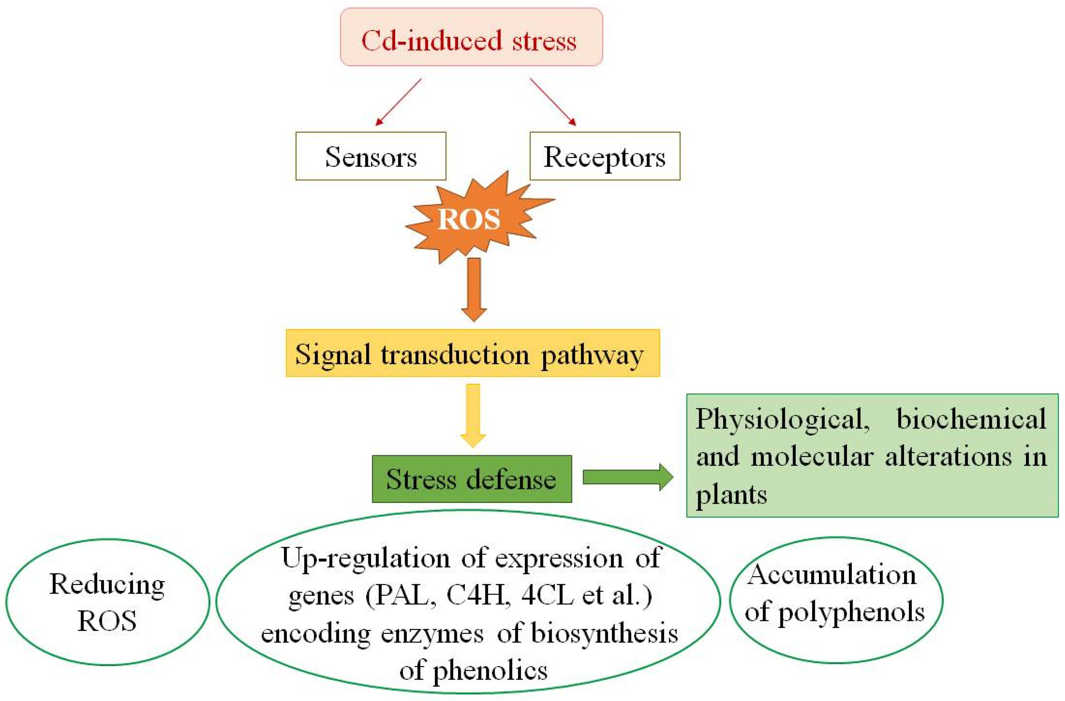 Molecules 28 03921 g008