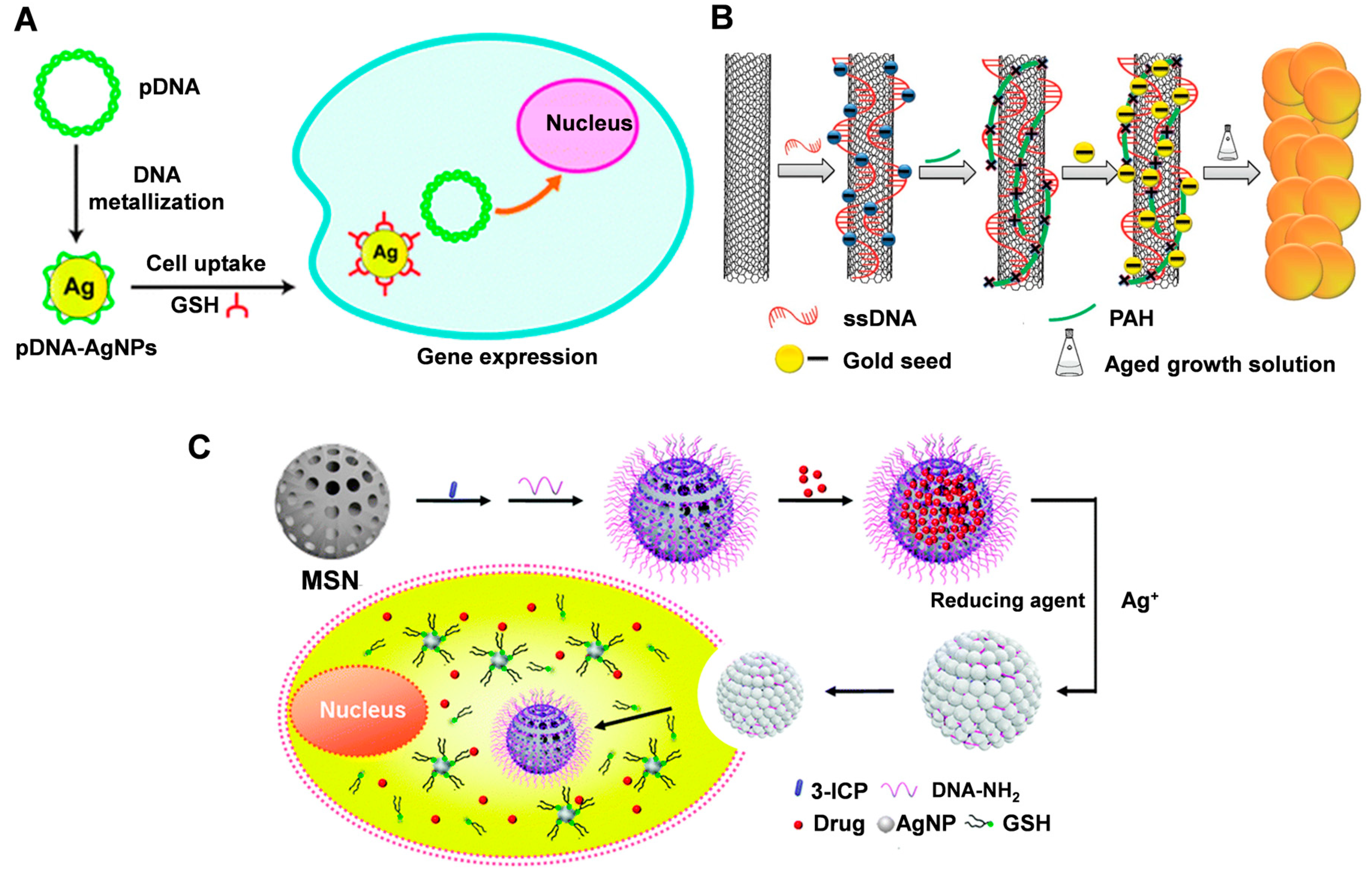 Molecules 28 03922 g006